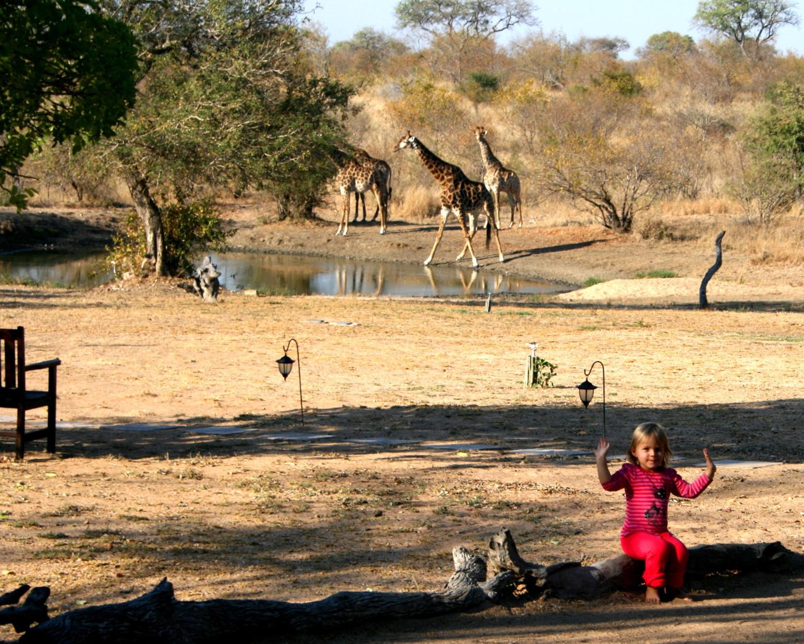 Kambaku Safari Lodge
