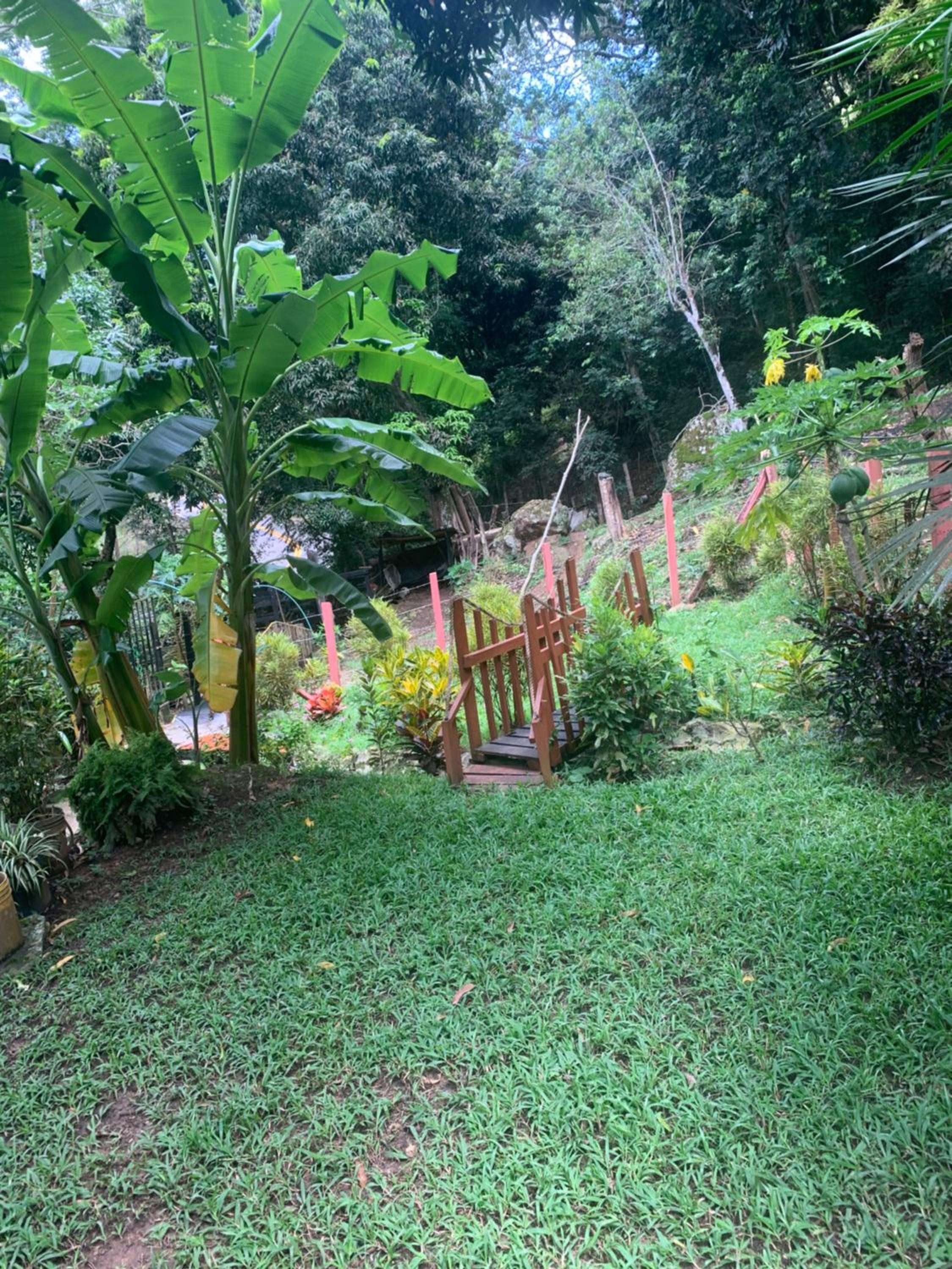 Finca Peñitas