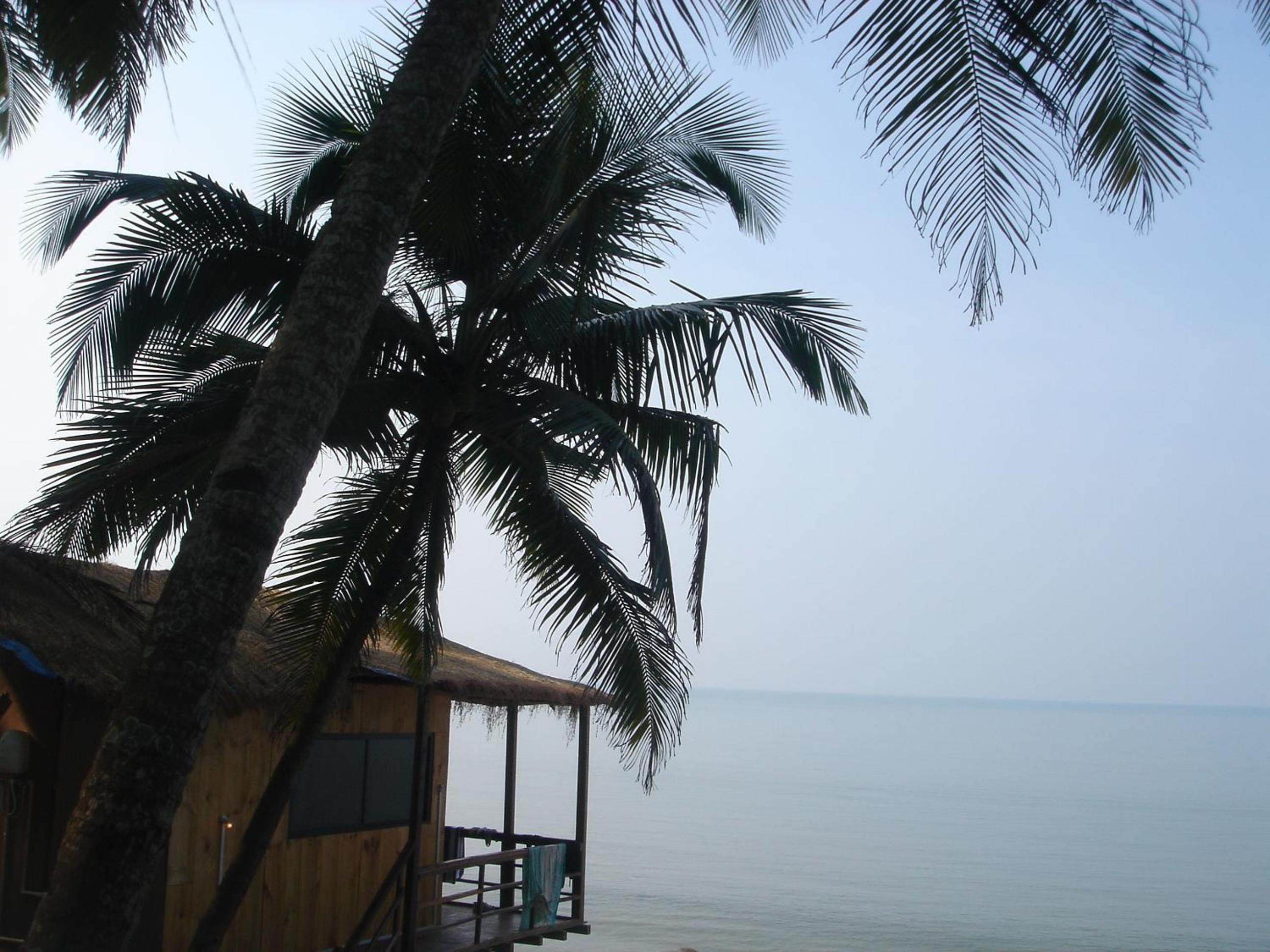 Photo 61