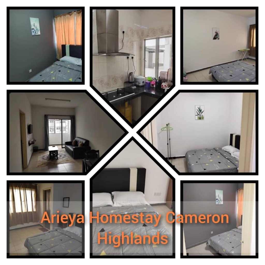 Arieya homestay cameron highlands photo 1