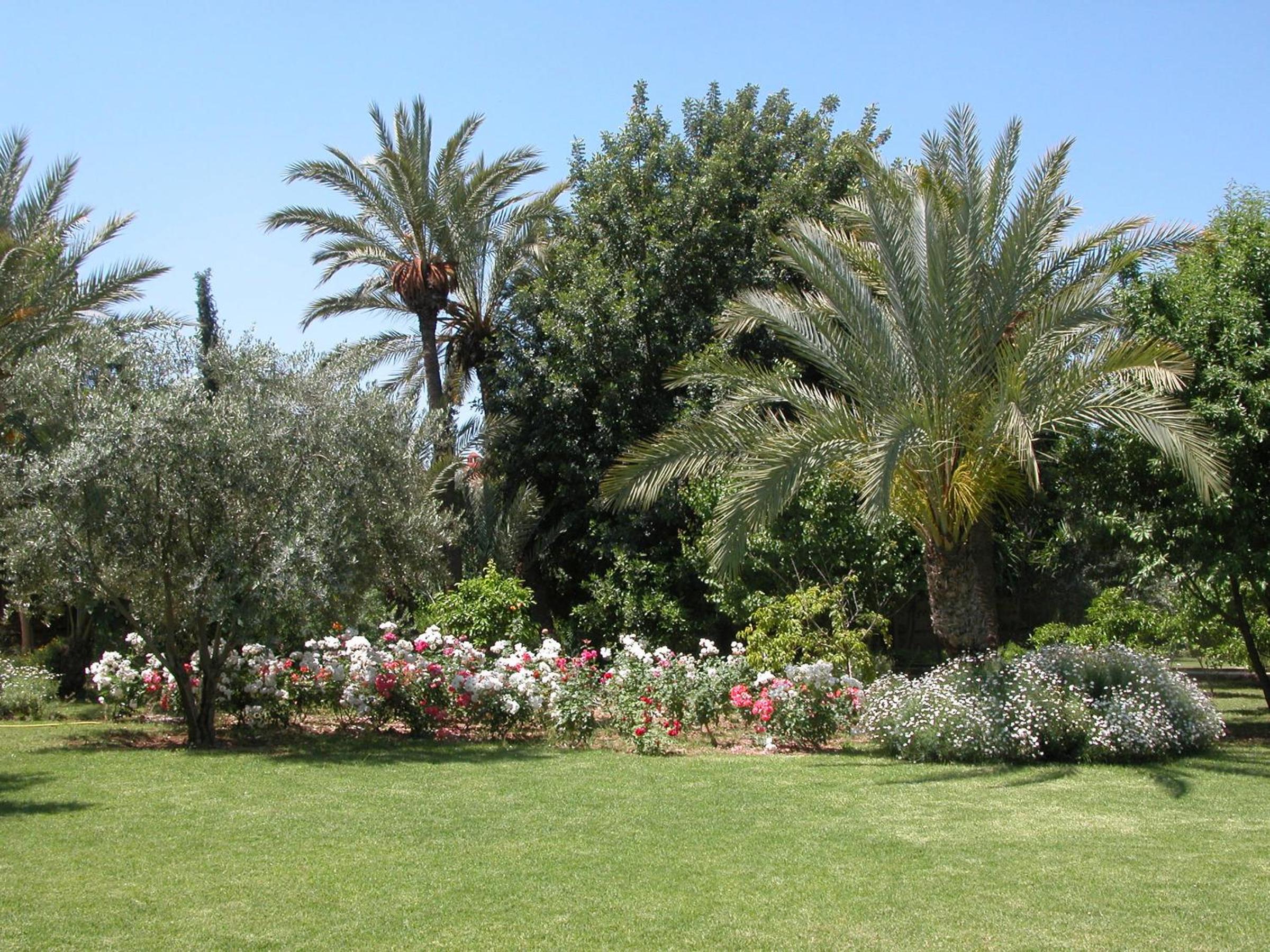 Photo 40