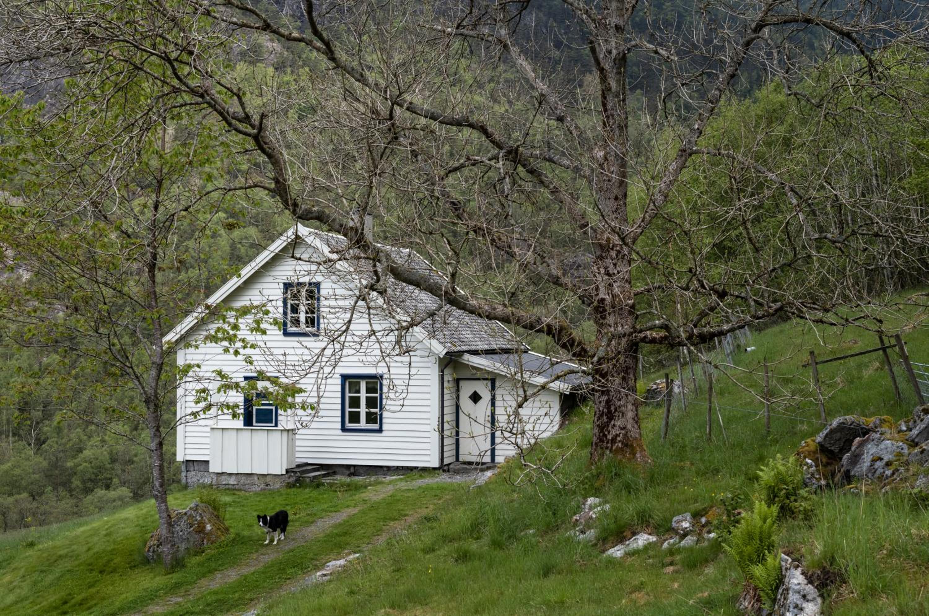 Fossane gard, autentiske gardshus på sauegard view 2