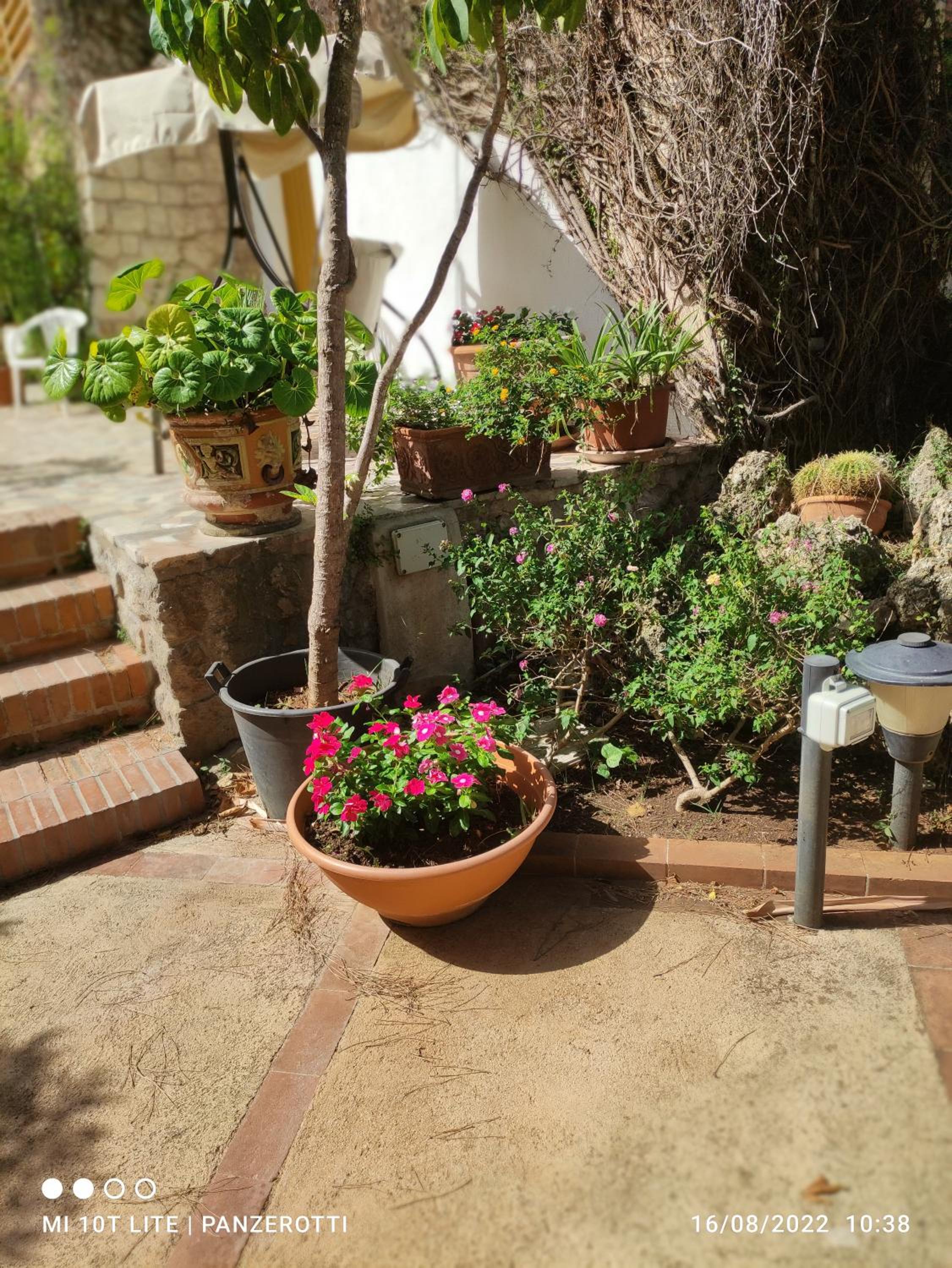 Casa del Gelsomino photo 4