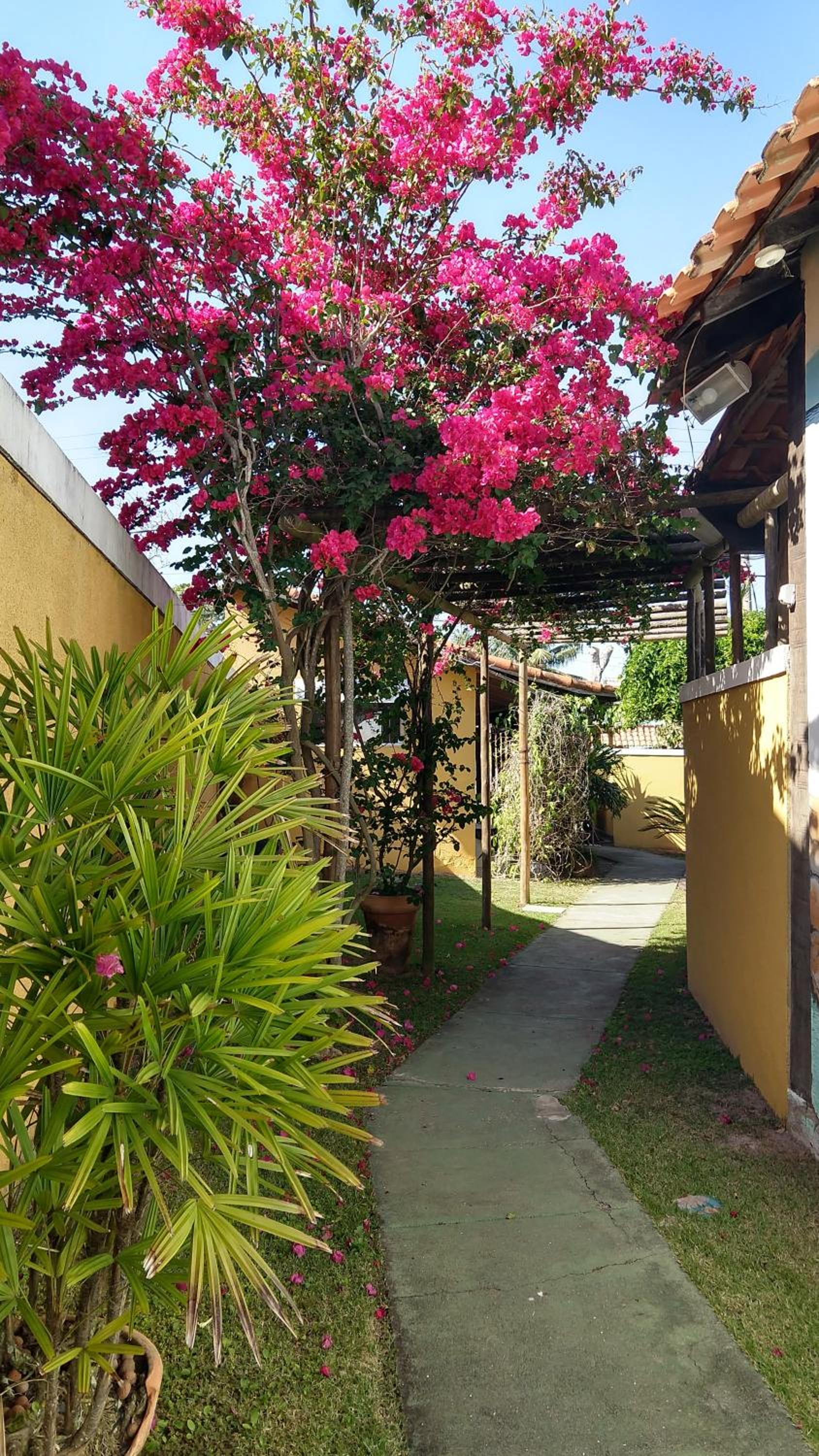 Aloha Itaúna view 3