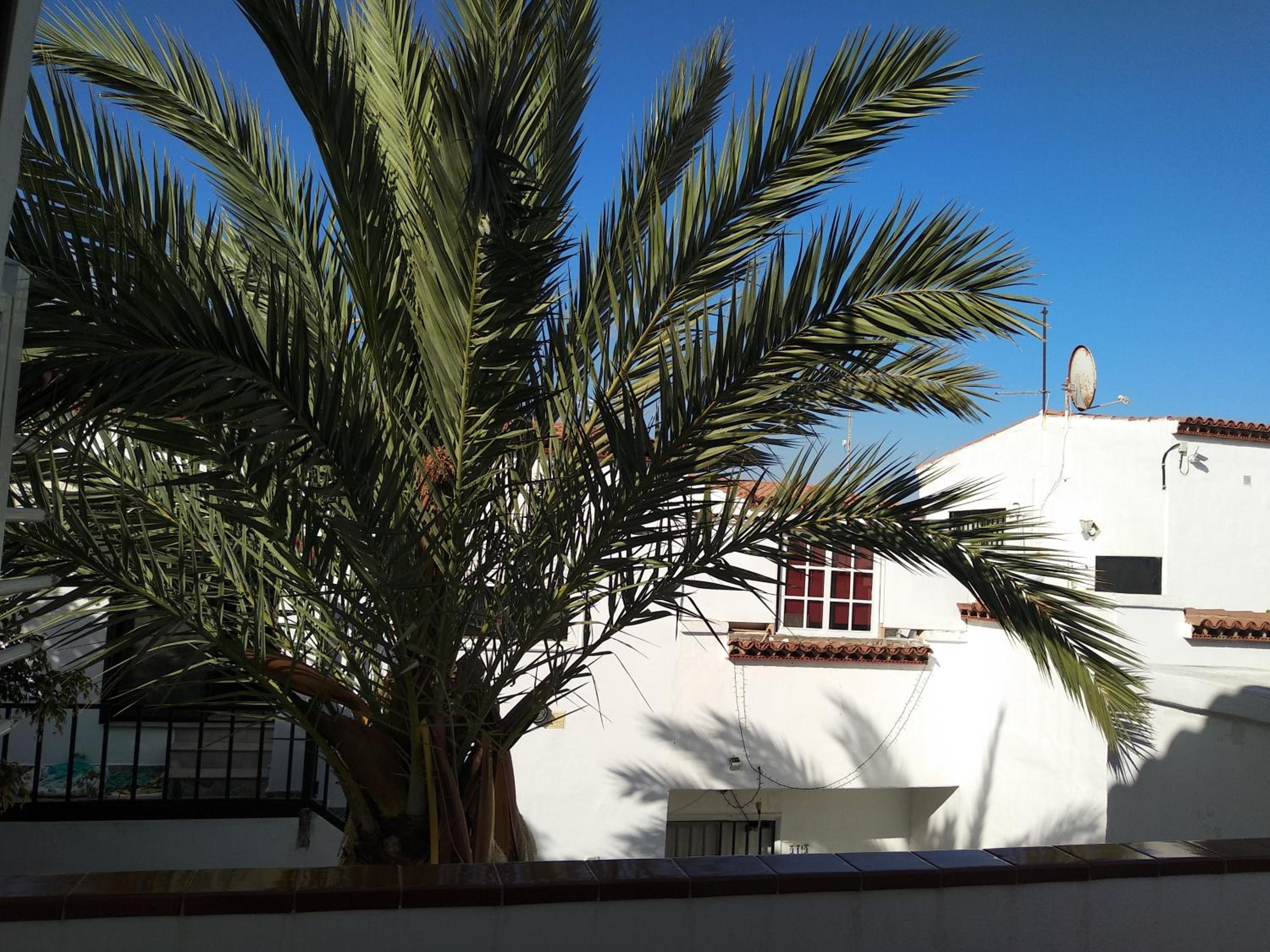 Apartamento AMA TENERIFE grande terraza