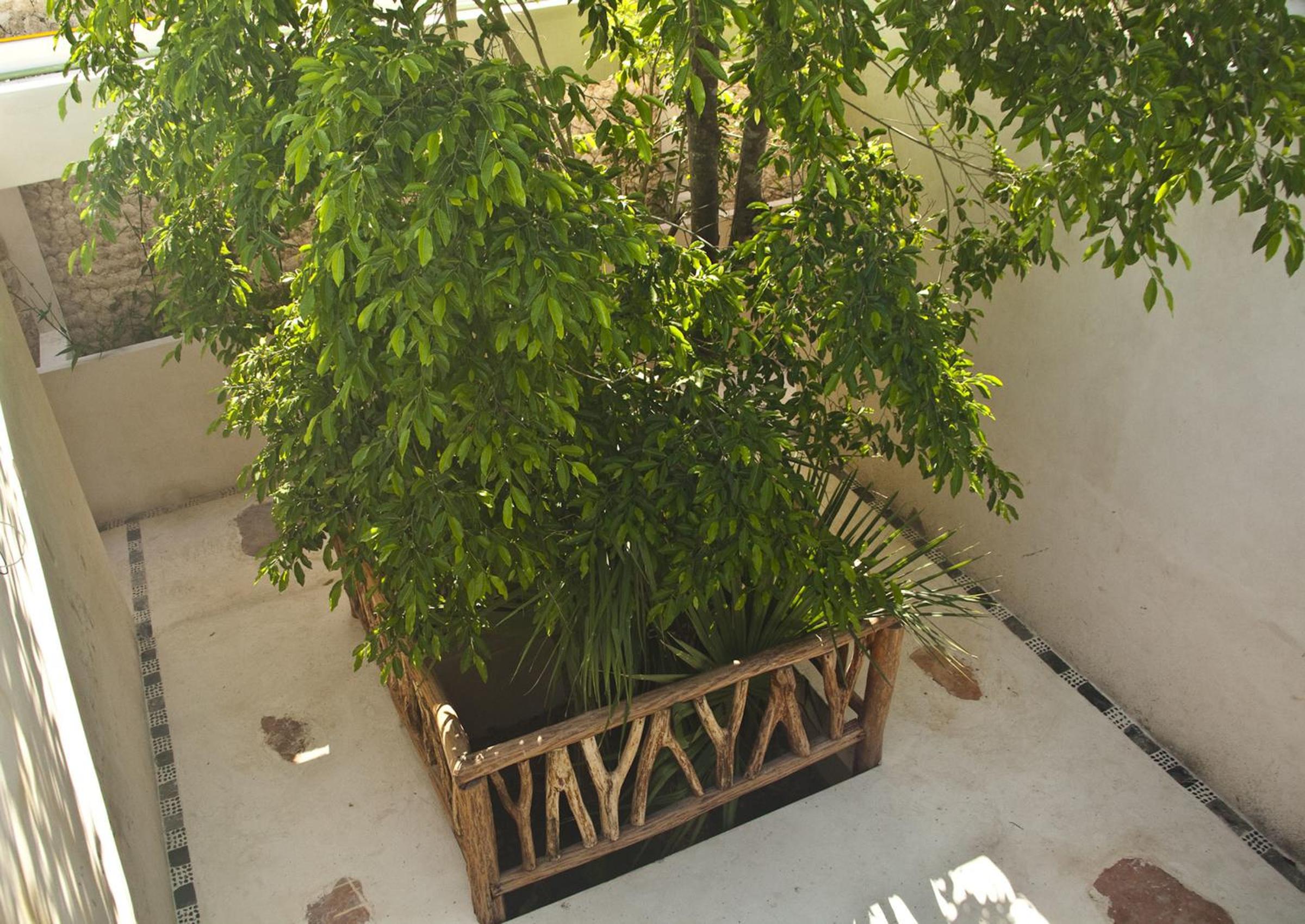 Corazon De Jade Tulum - Property Image 94