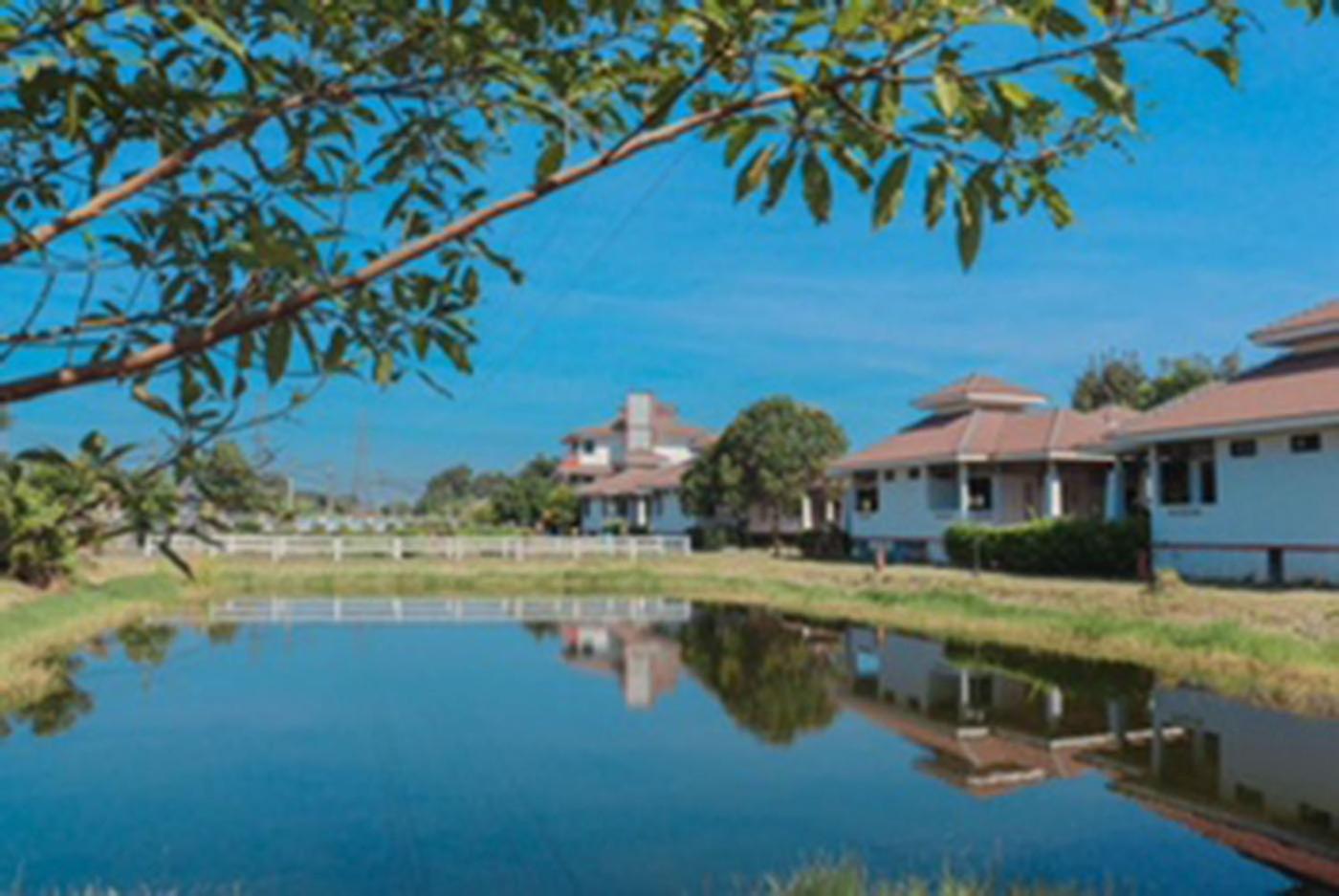 Tokyo Country Inn