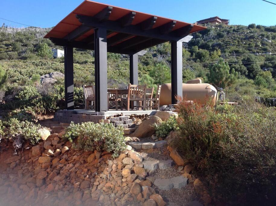 A LIVING CANVAS Amazing Lake View Custom Home