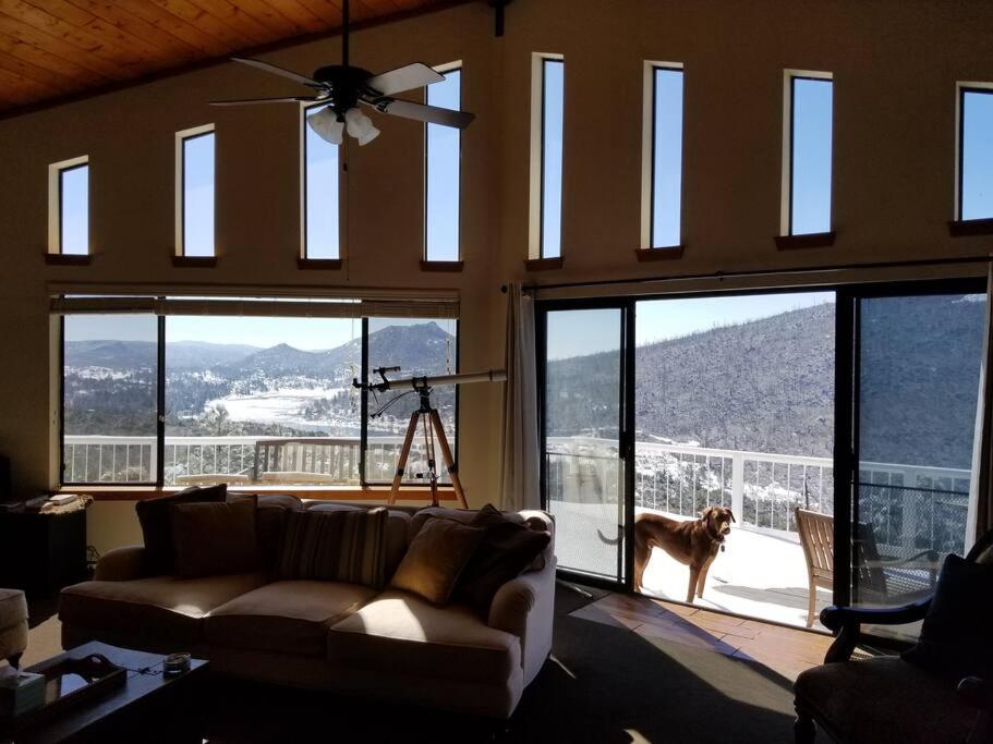 A LIVING CANVAS Amazing Lake View Custom Home