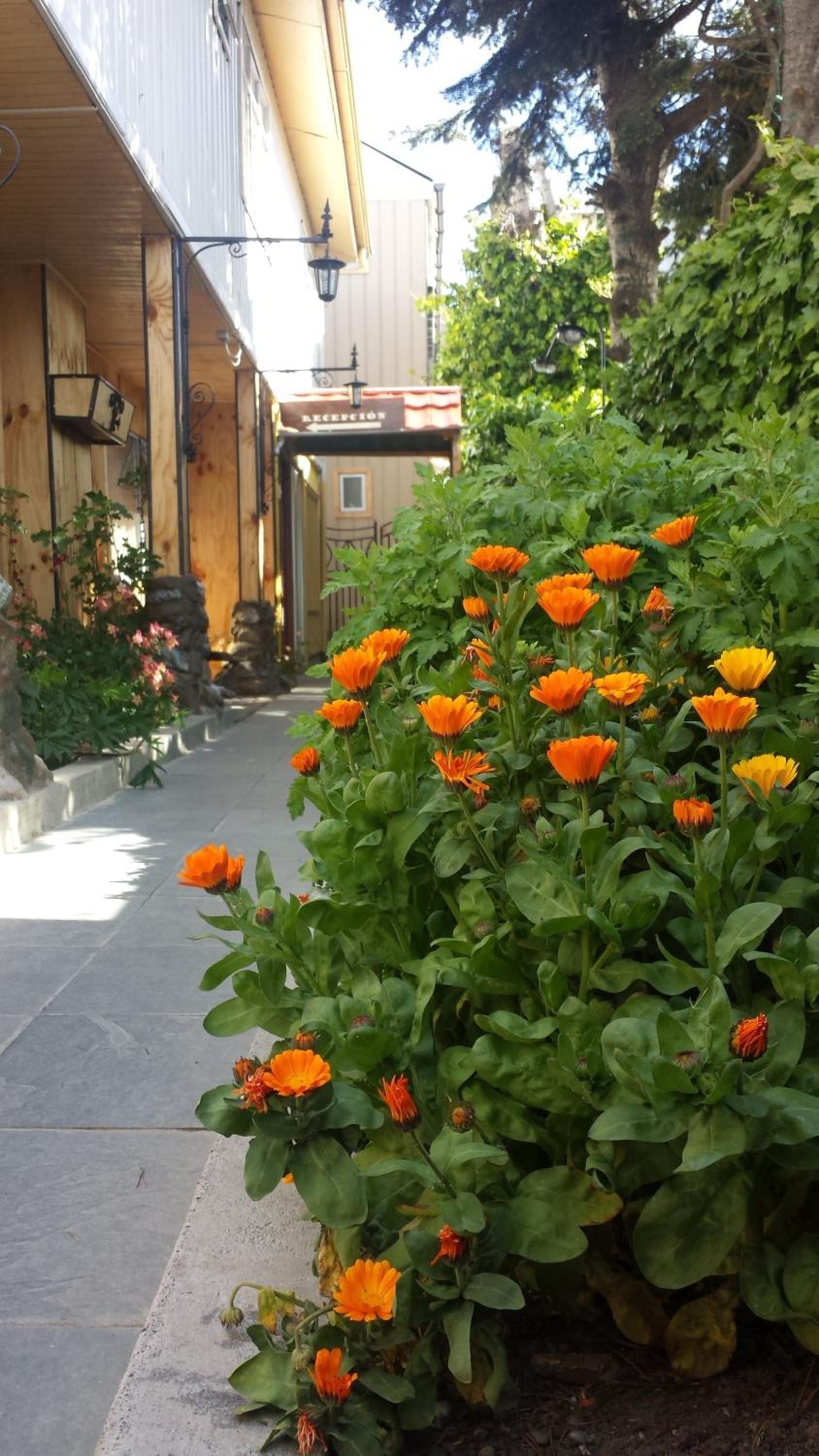 Photo 13