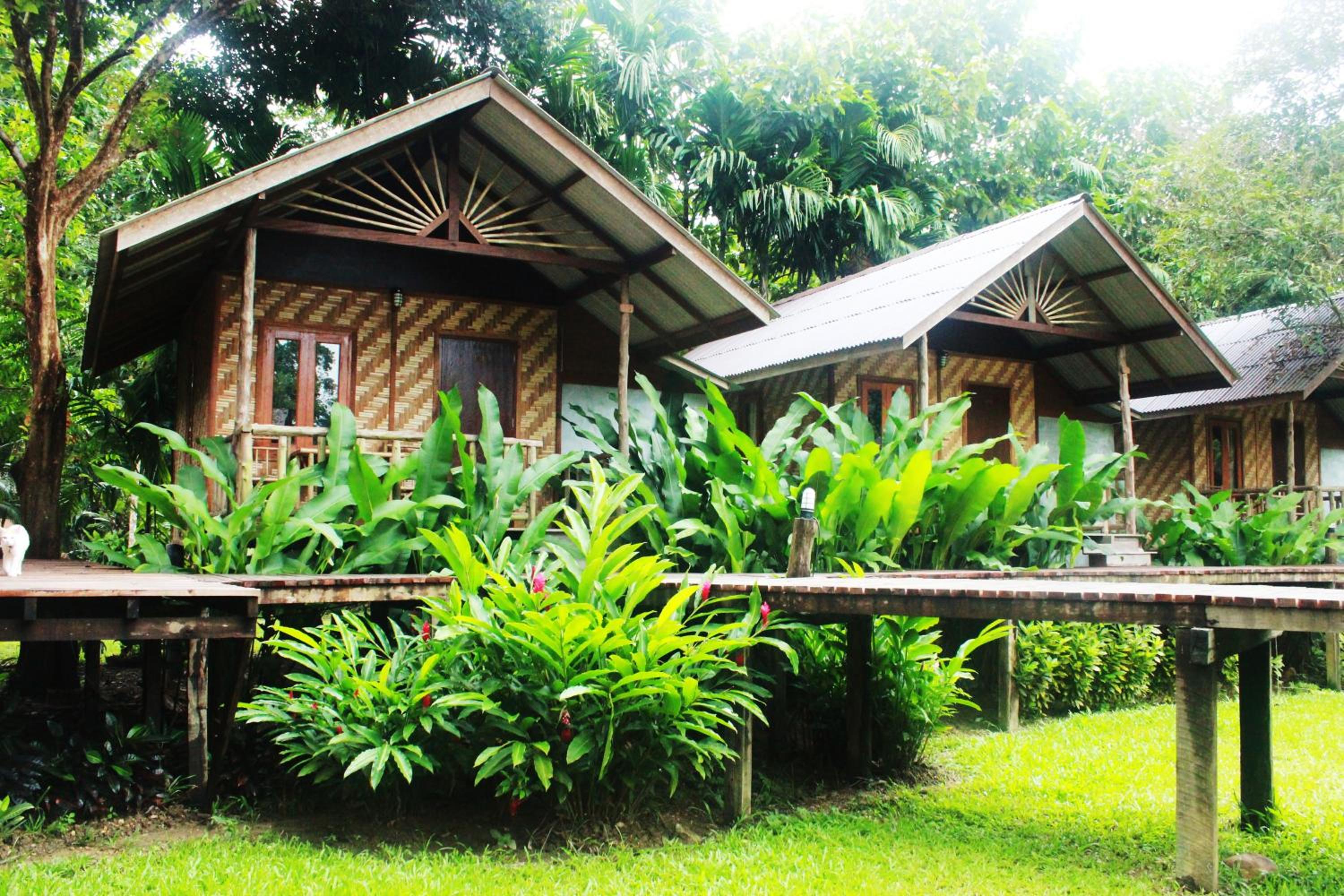 Hotel Khao Sok Cabana Resort