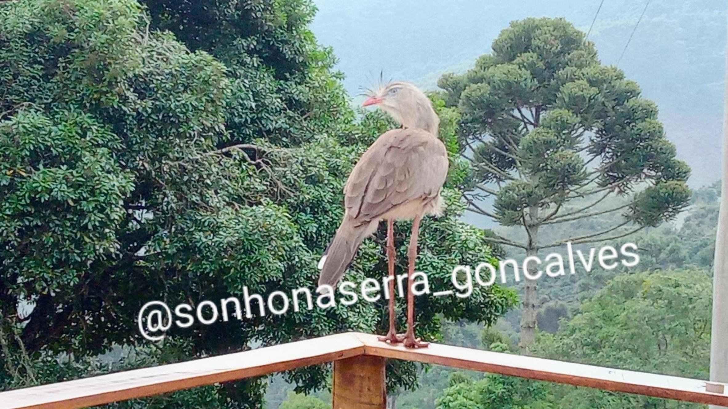 Bangalô Sonho na Serra