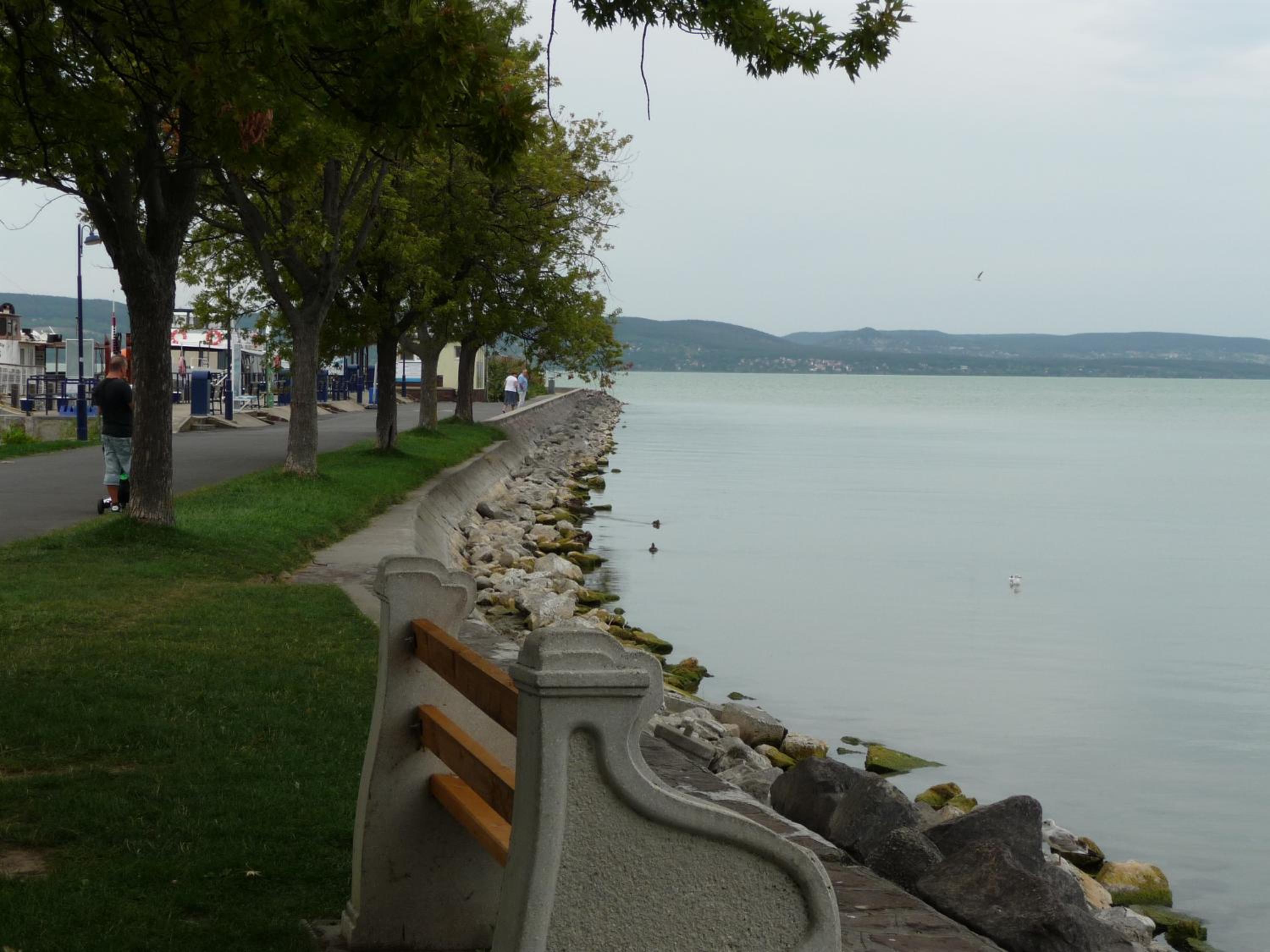 Photo 46