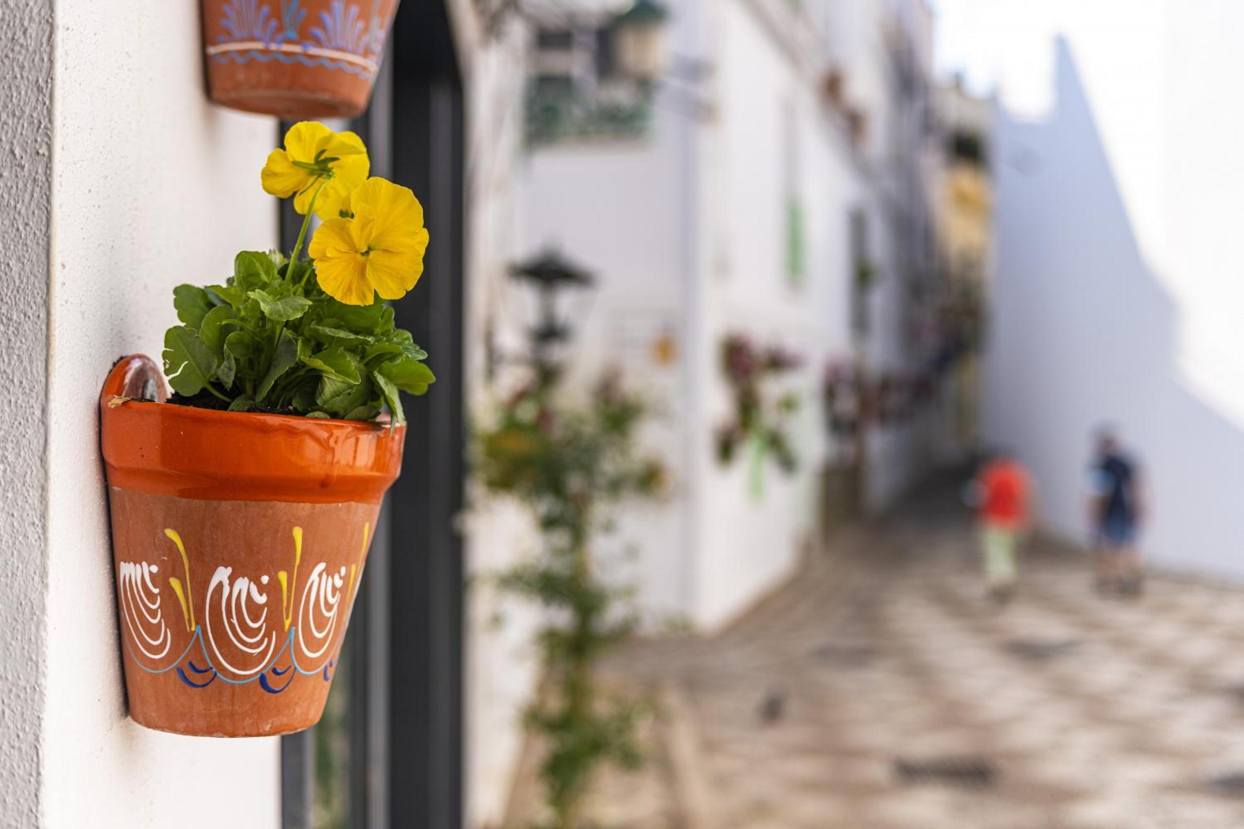 Apartamento de lujo con jardin privado