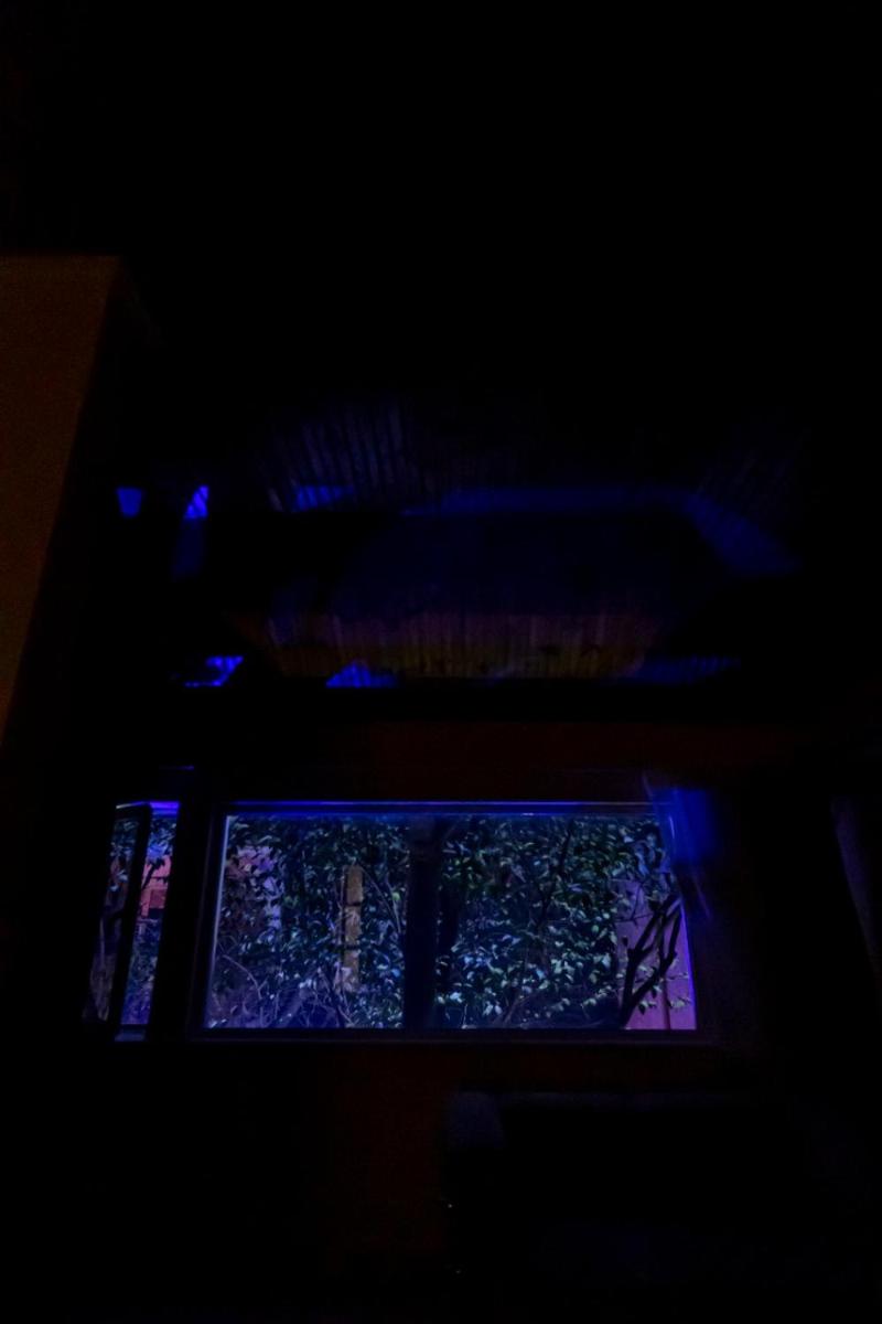 Relax Hostel
