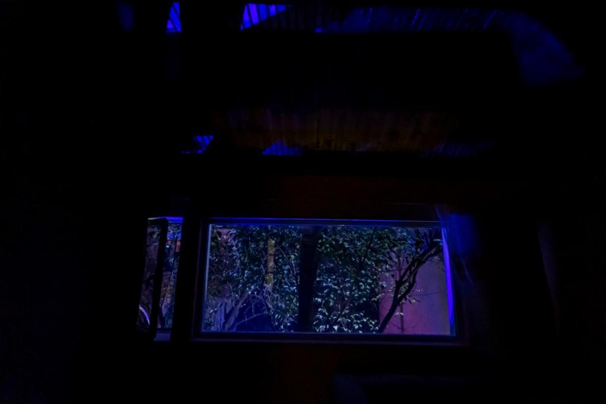 Relax Hostel