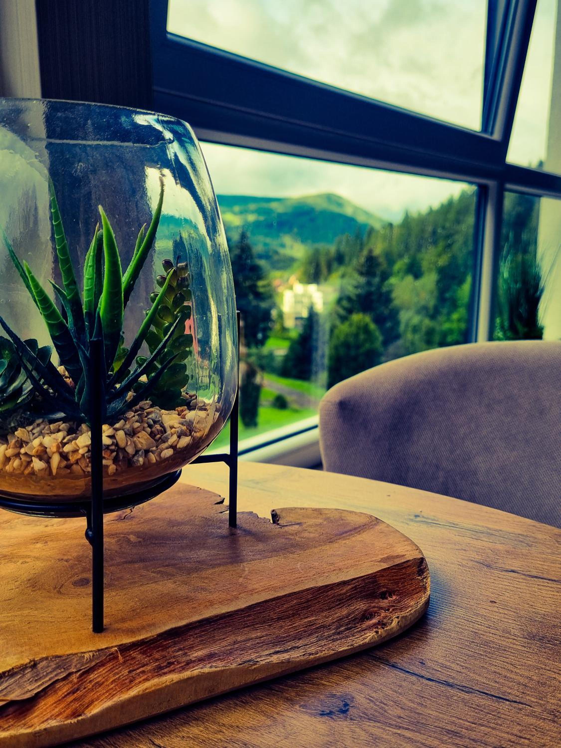 Apartament Kurort Kozubnik Wilcza Wataha view 3