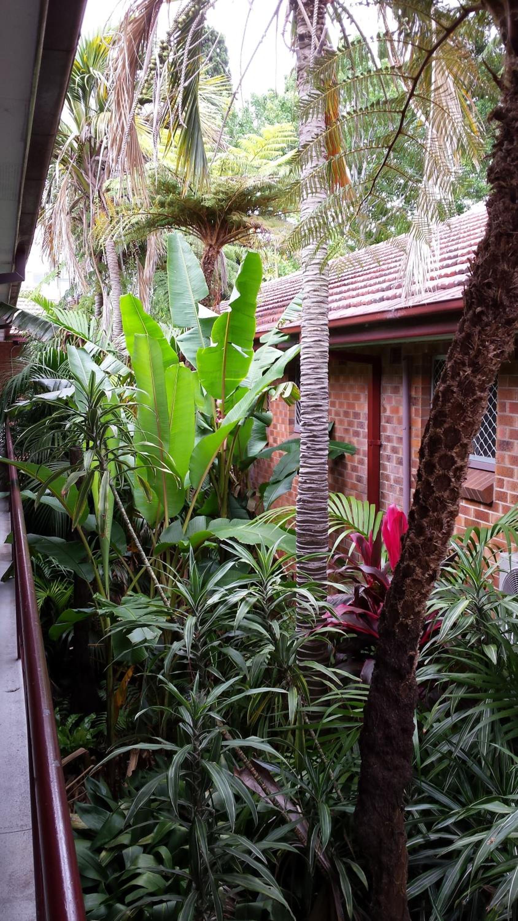 The Palms Motel- Formerly Flinders Motel