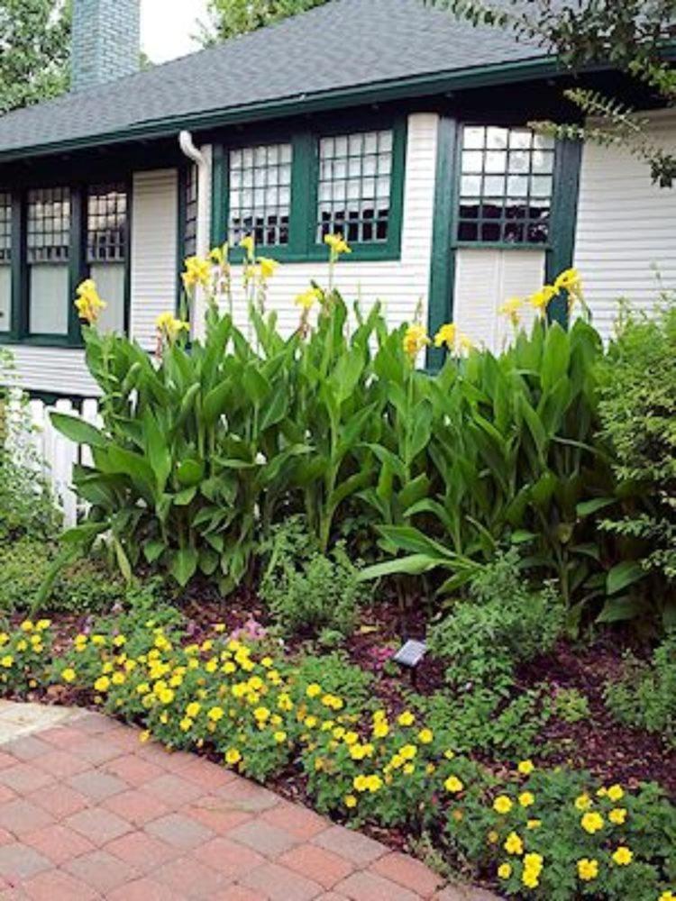 Granbury Gardens Bed and Breakfast view 3