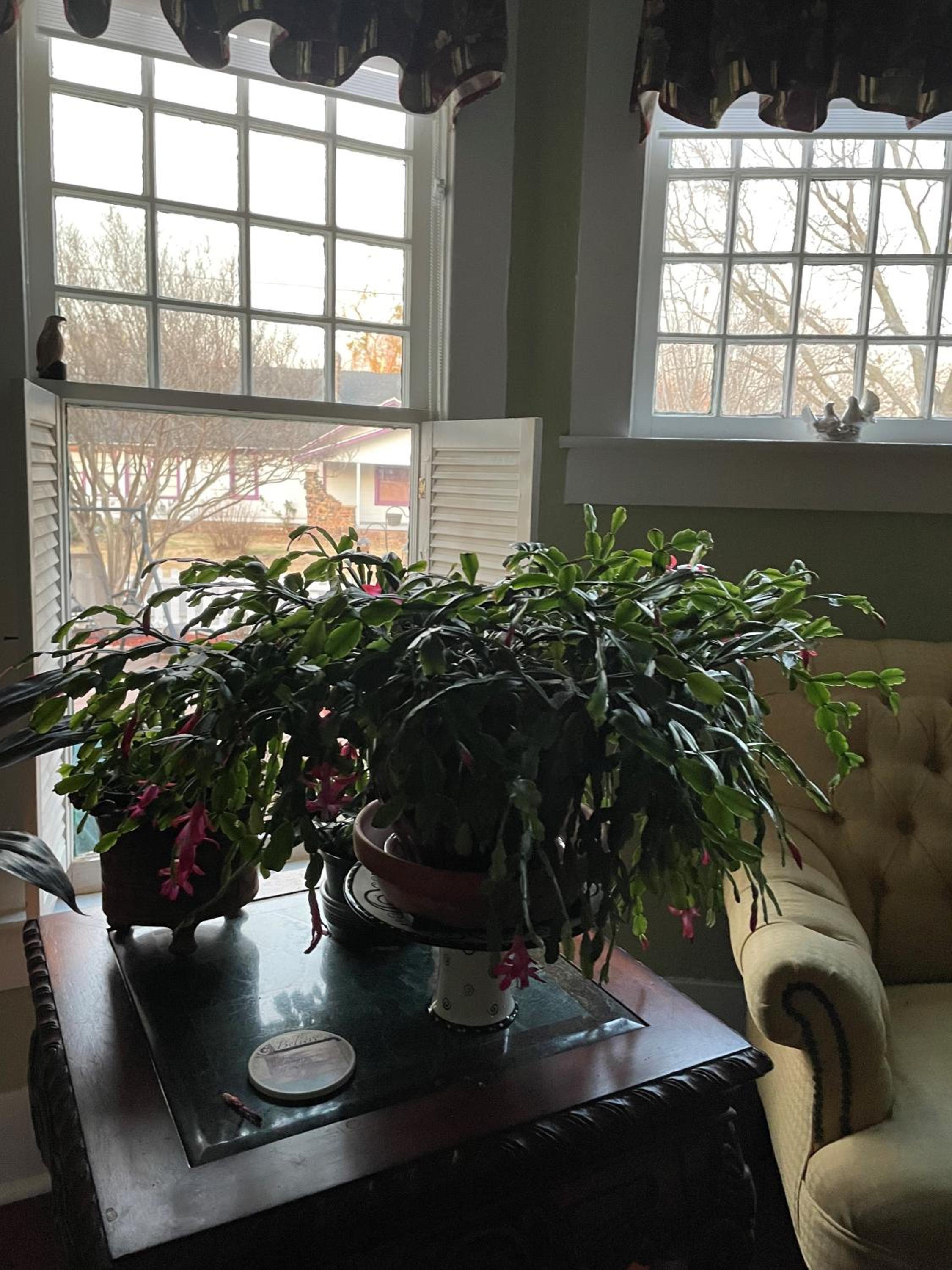 Photo 31