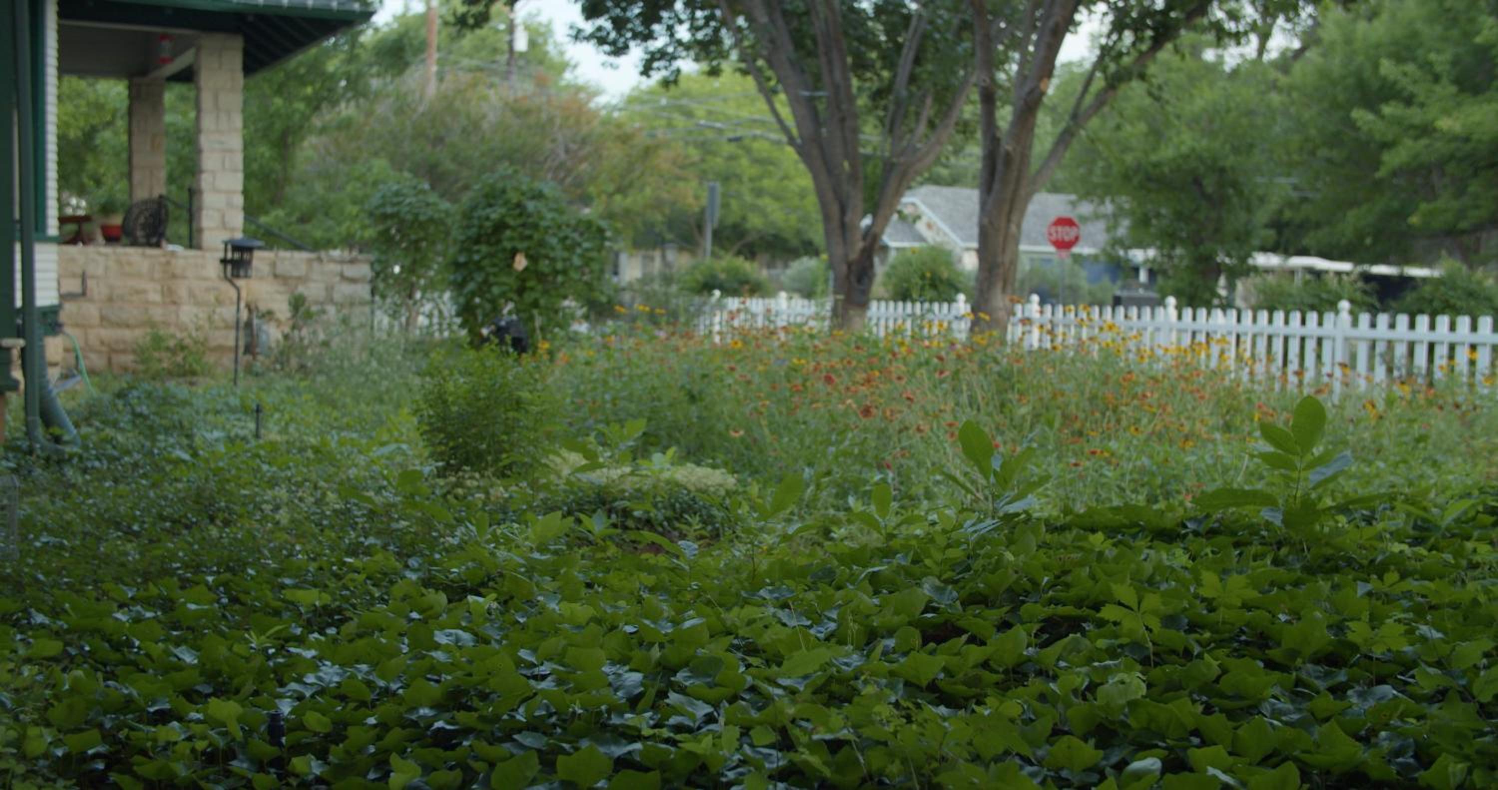 Photo 46