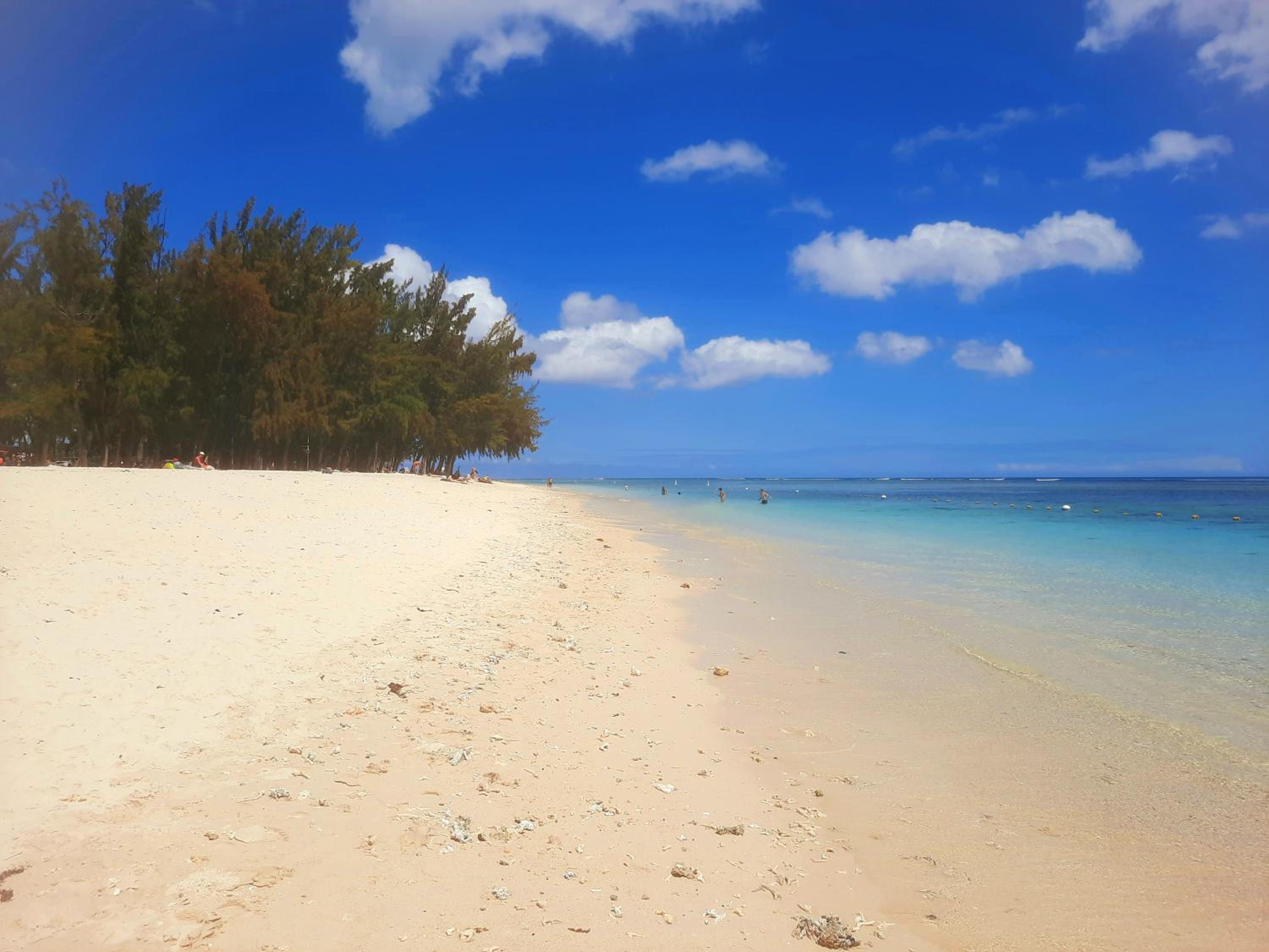 Modern apartment - Excellent location 50m from the beach, restaurants, bars, shops view 5