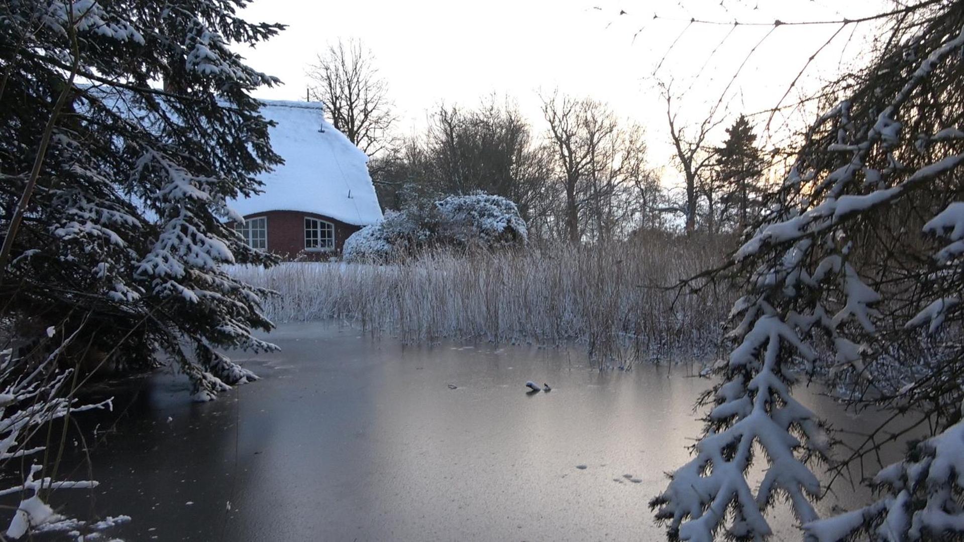 Landhaustraum unter Reet am Jadebusen