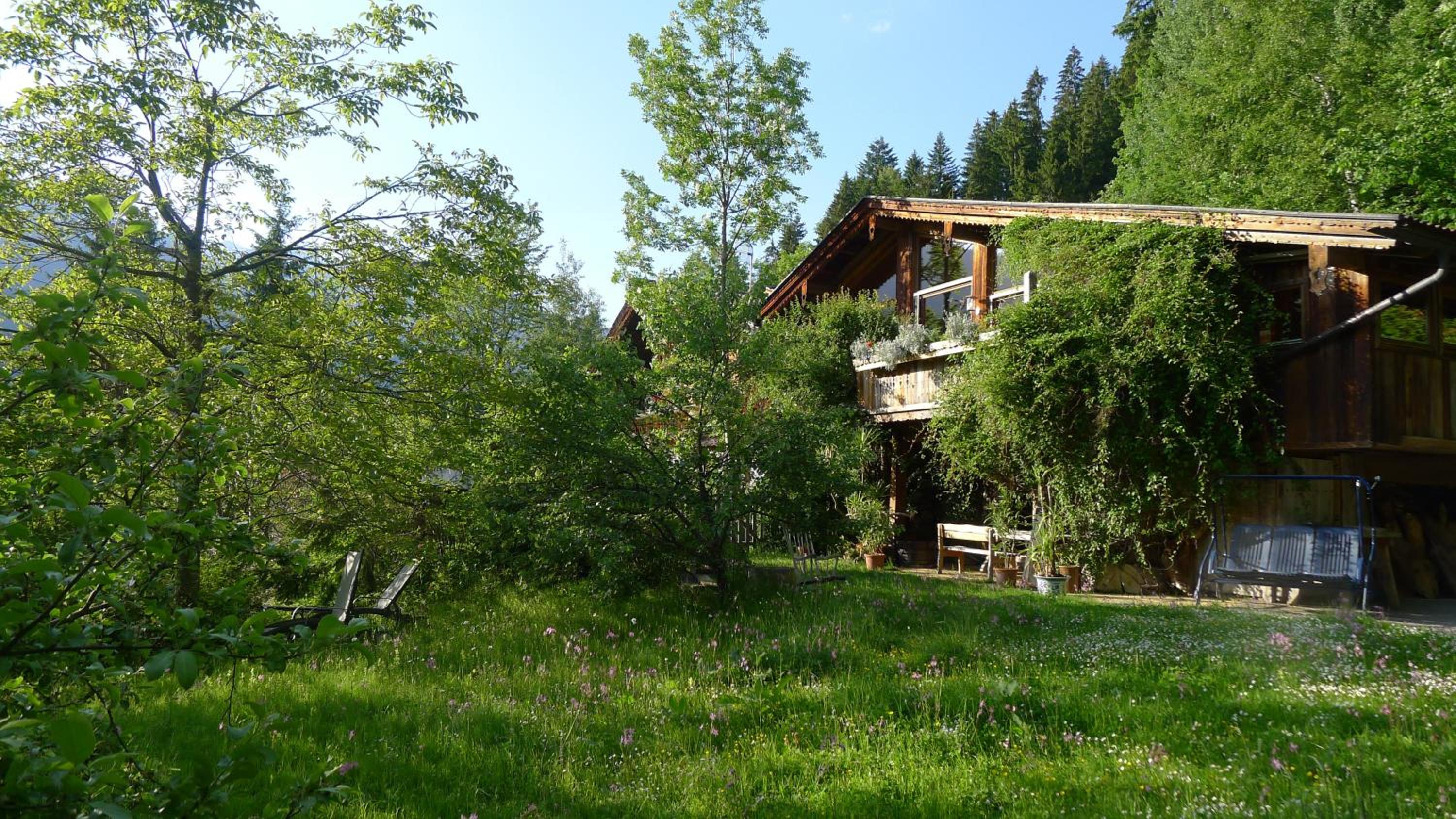 Photo 21