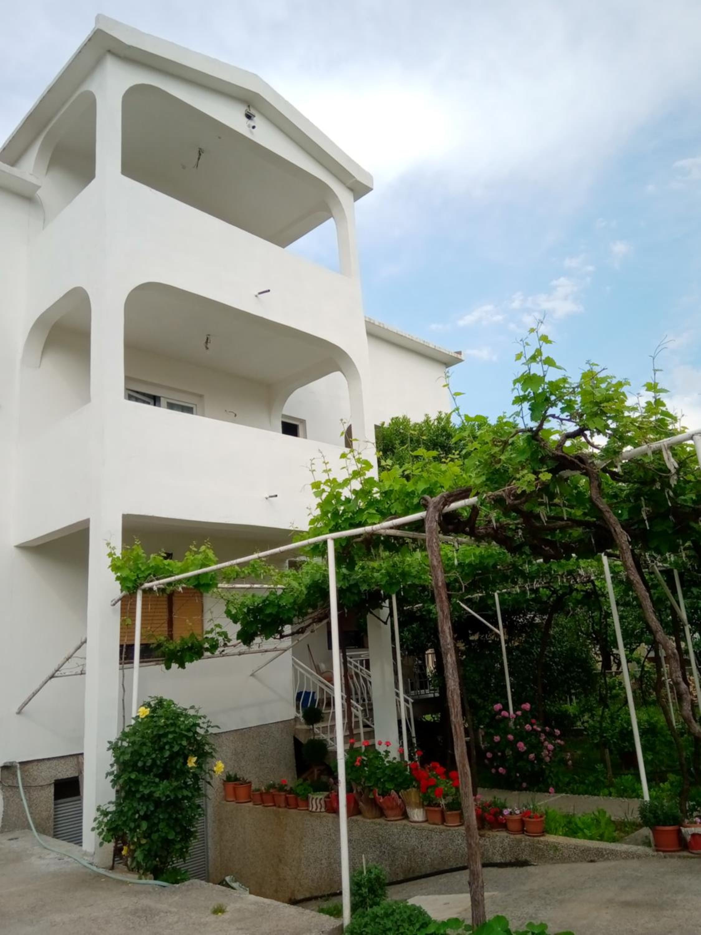 Hostel Olea view 4