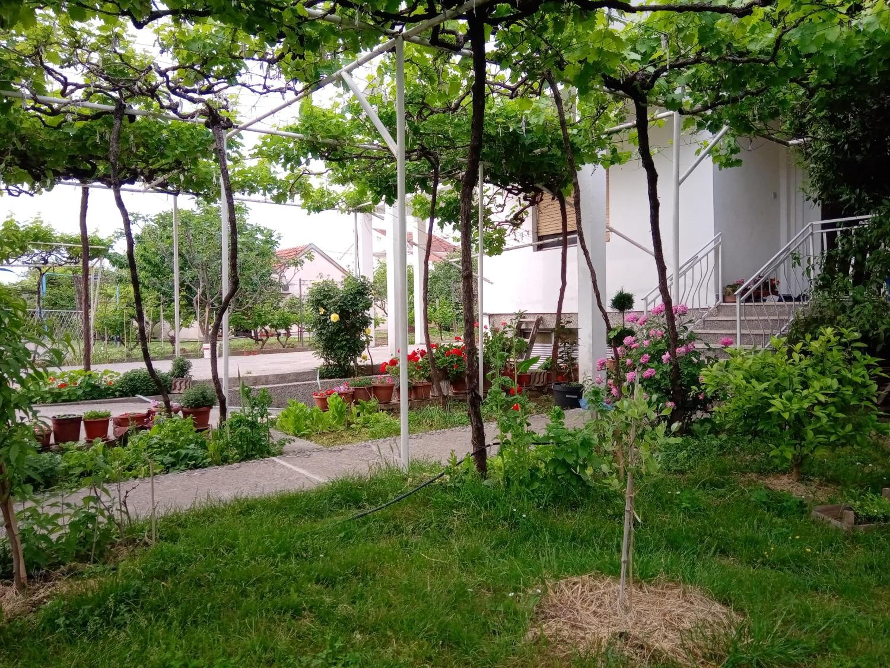 Photo 8