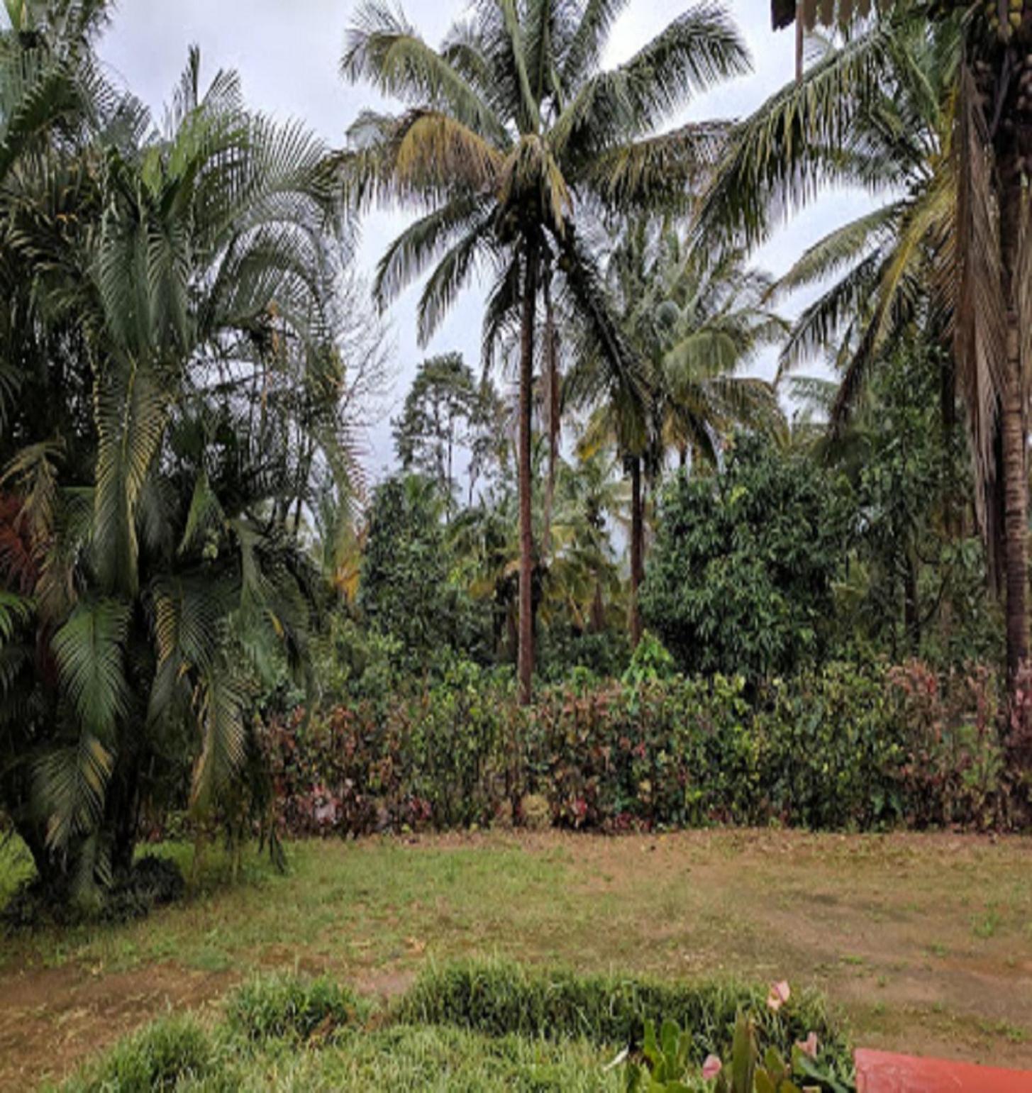 Hasiru Farms Homestay by StayApart view 5
