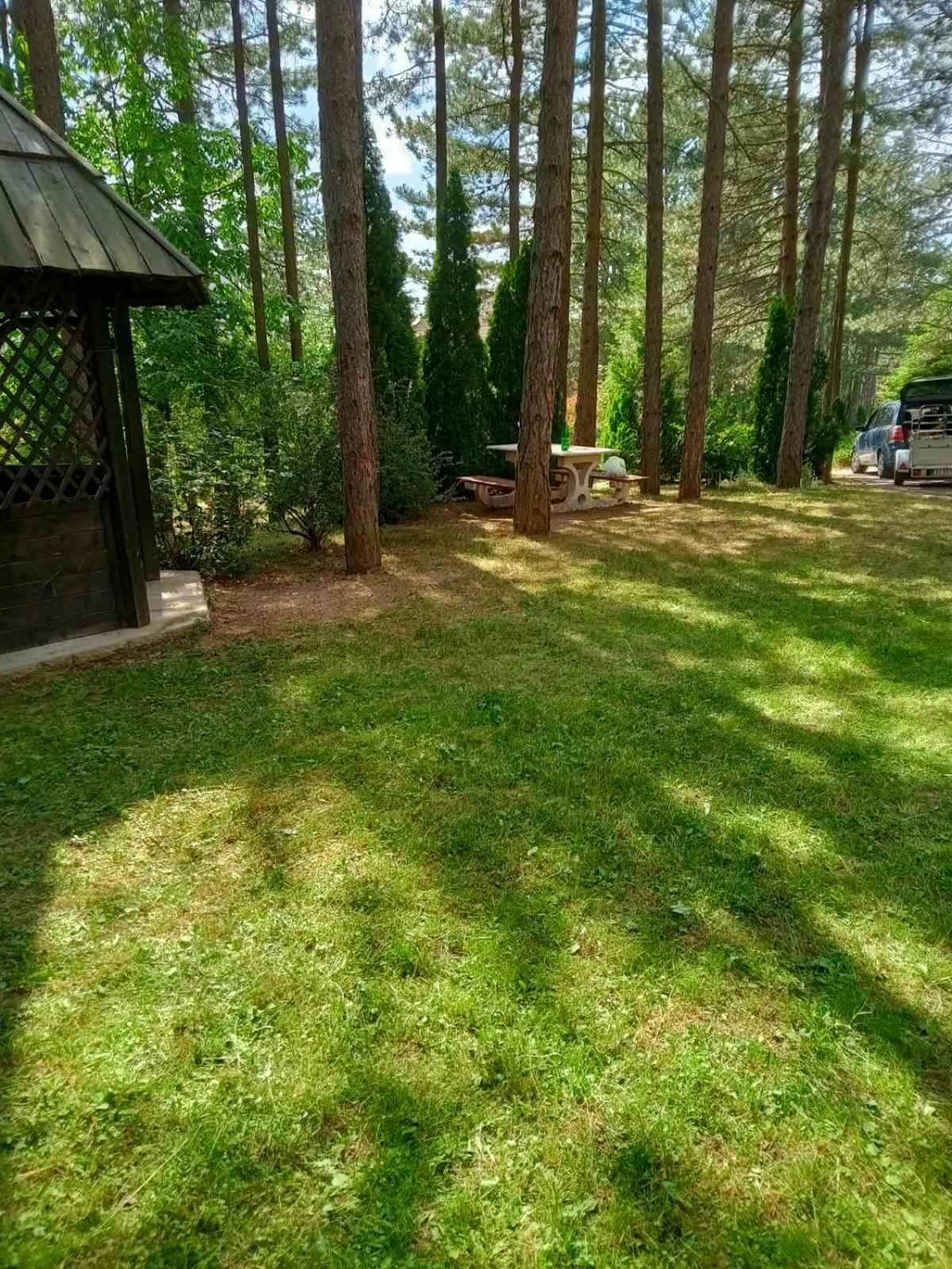 Photo 28