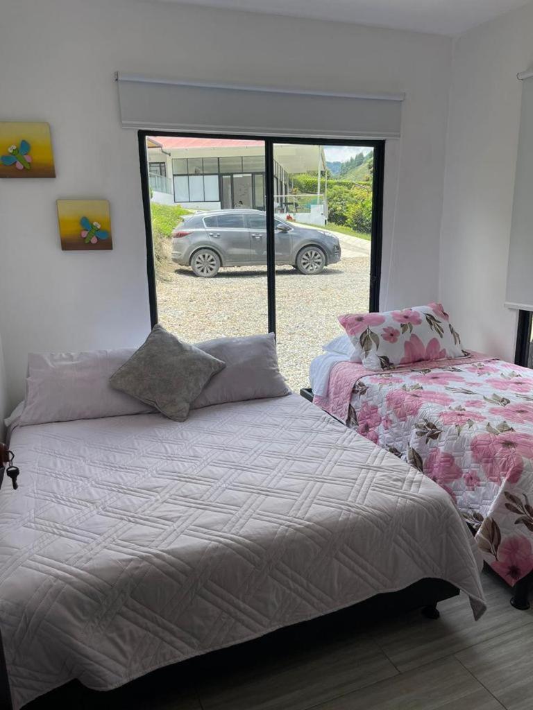 FINCA LAS MARÍAS 2
