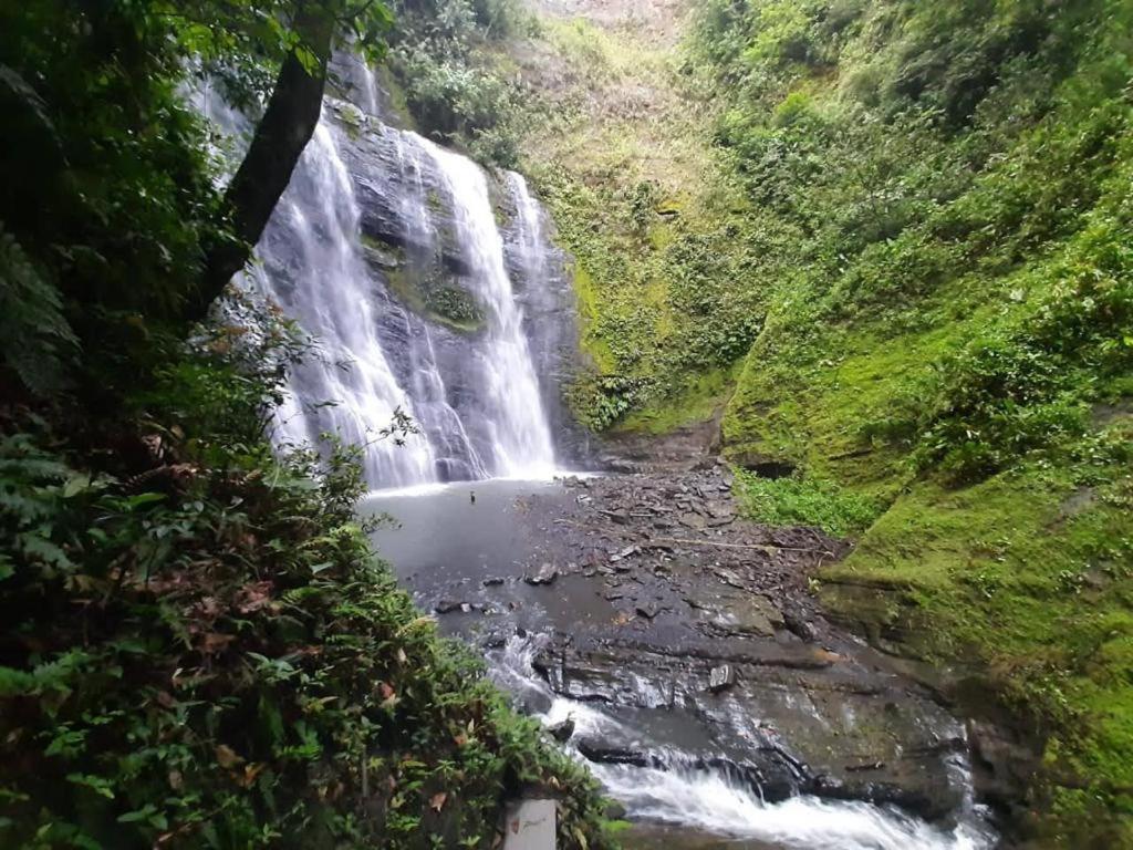 FINCA LAS MARÍAS 2