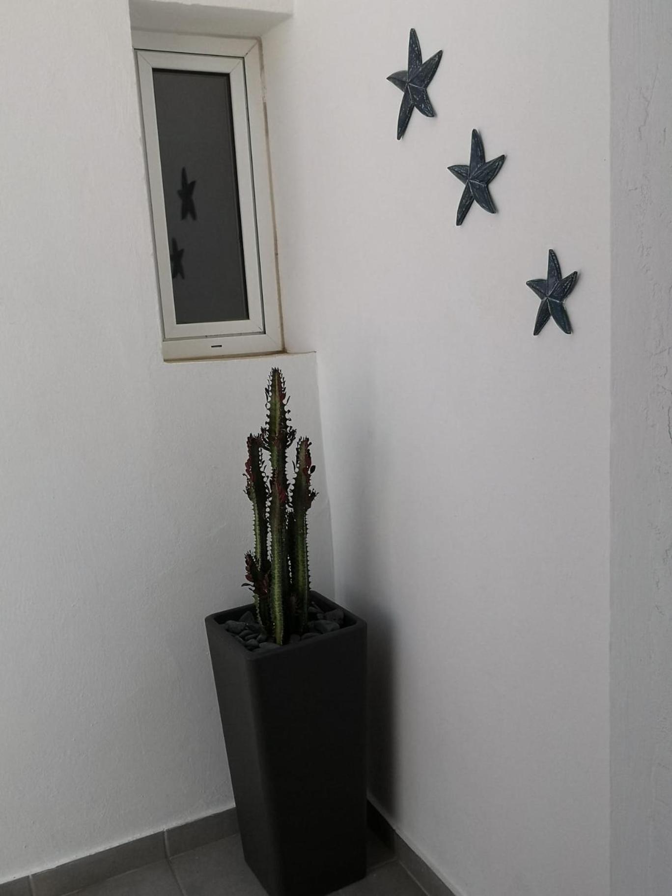 Estrella de Mar
