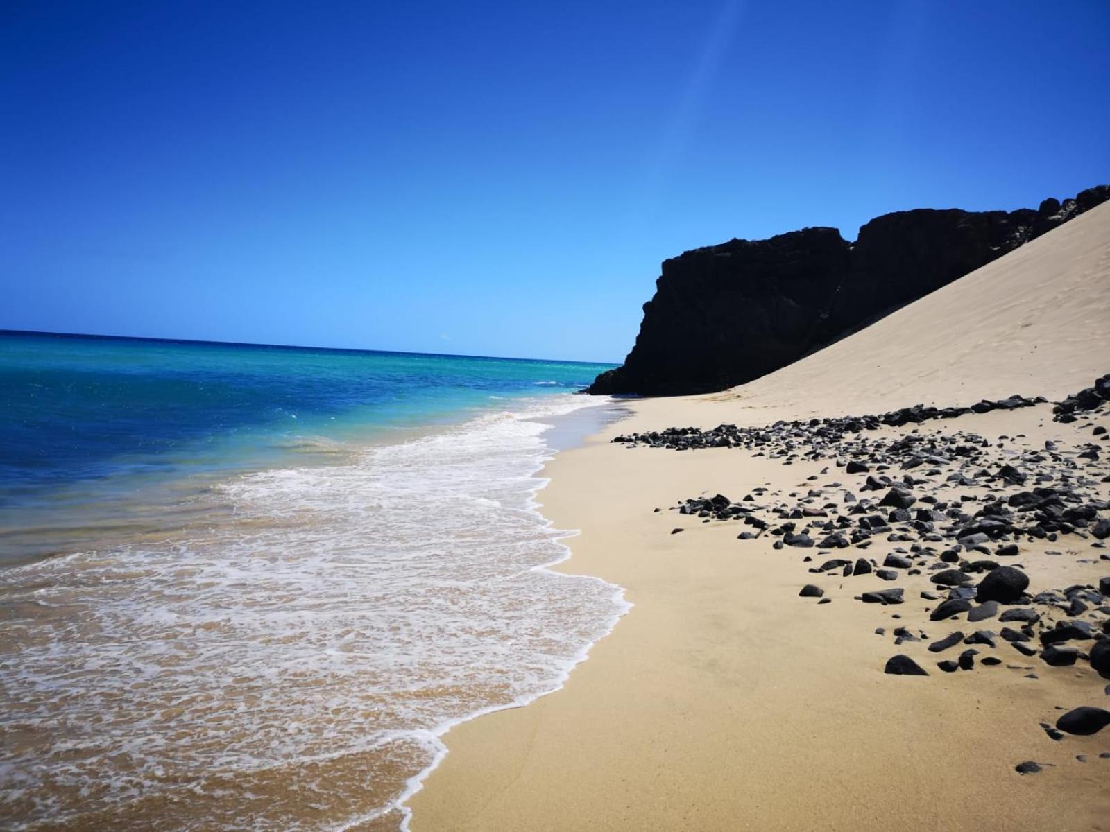 Estrella de Mar