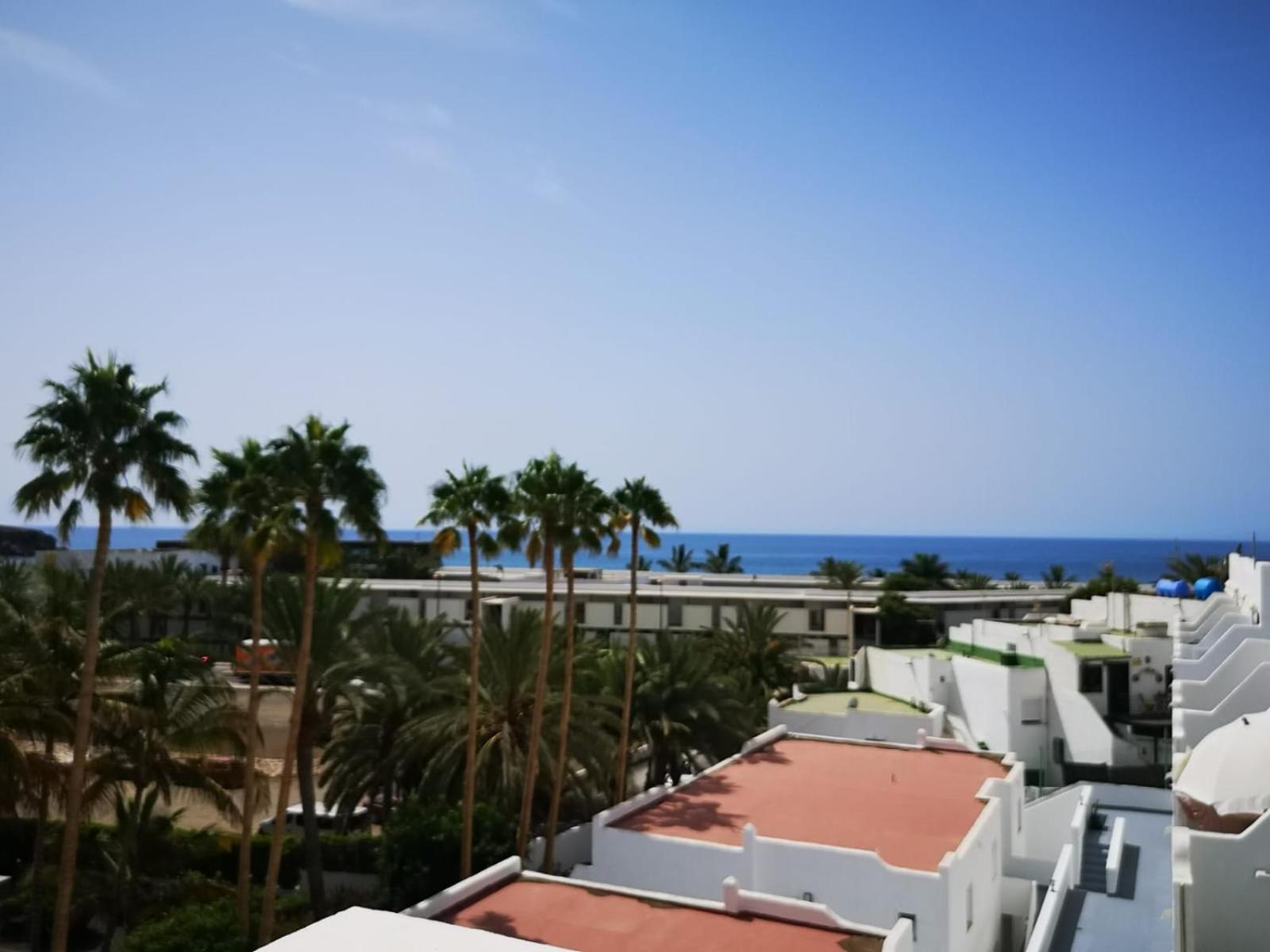 Estrella de Mar
