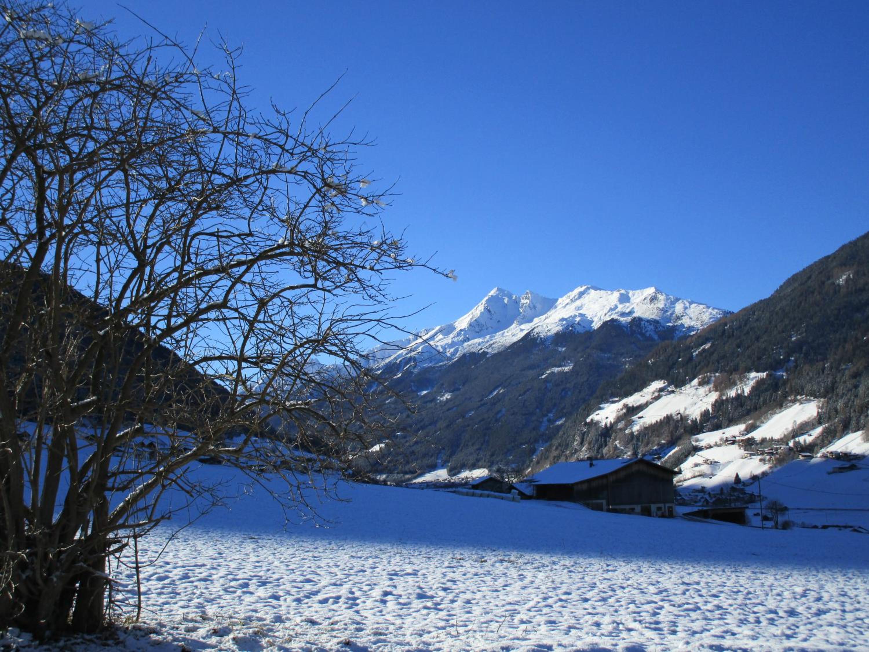 Nockhof