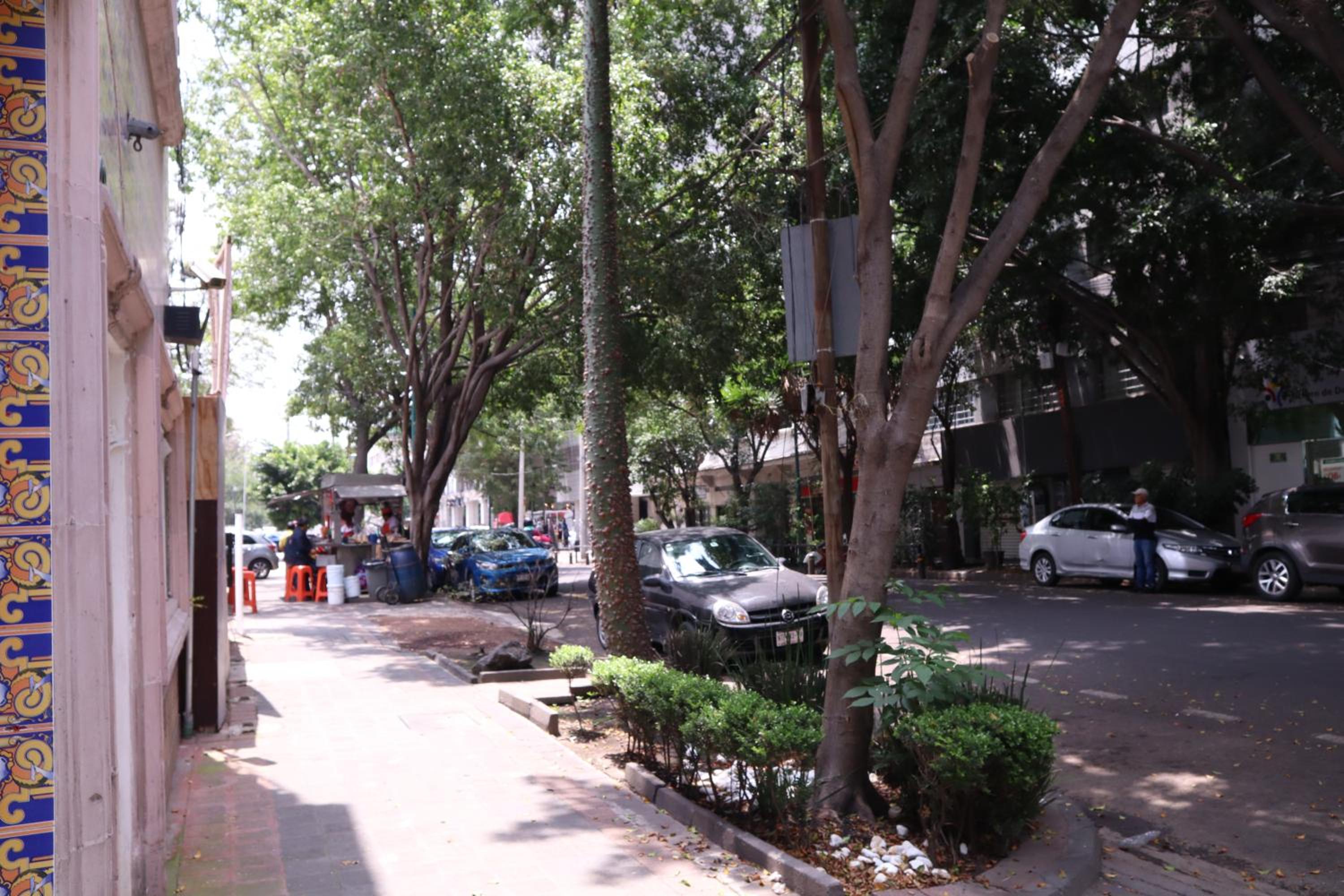 Photo 7