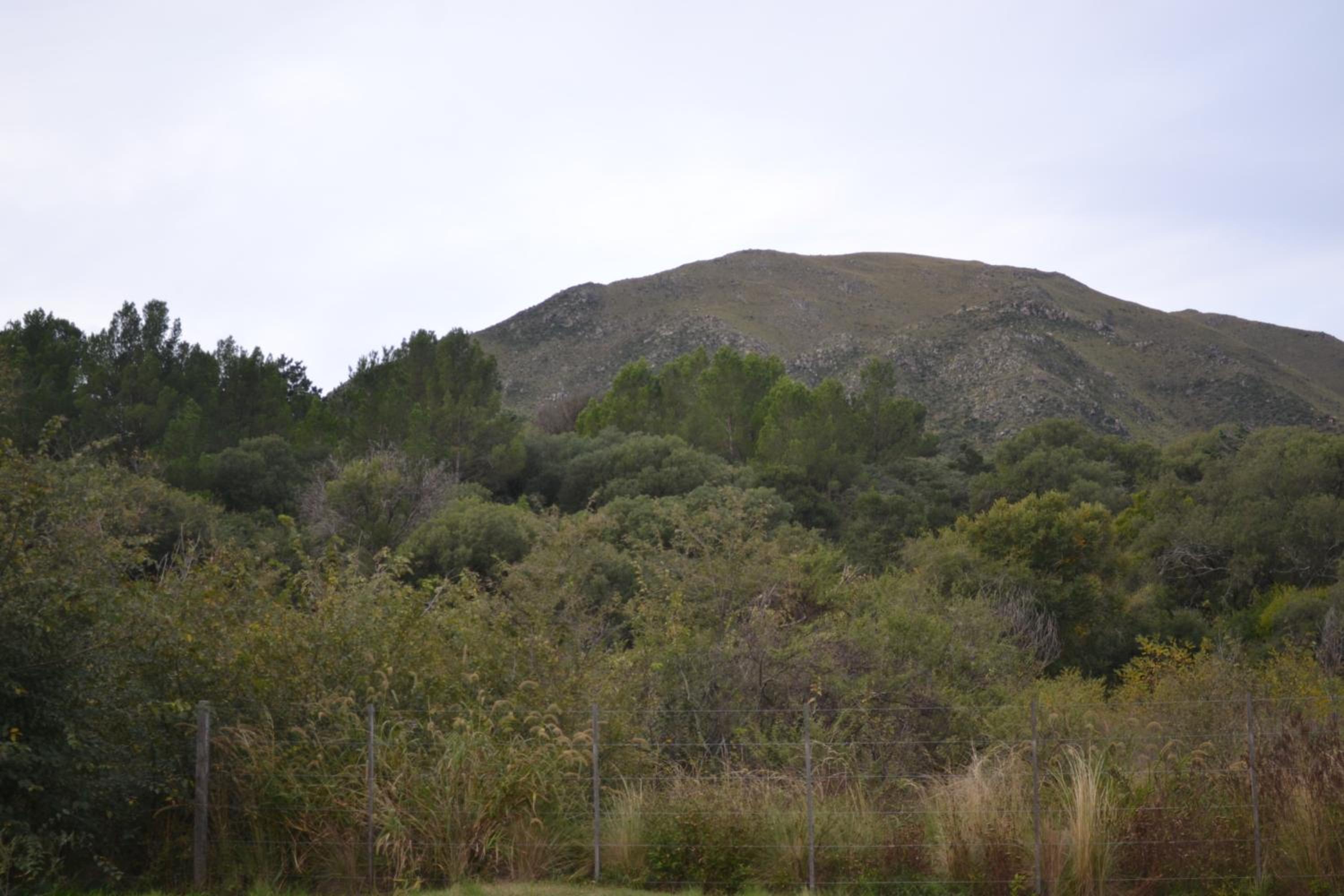 Casitas La Invernada
