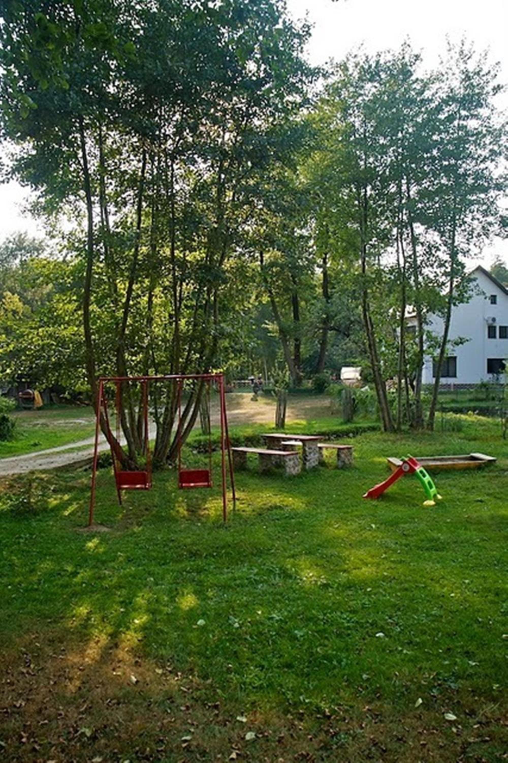 Photo 23
