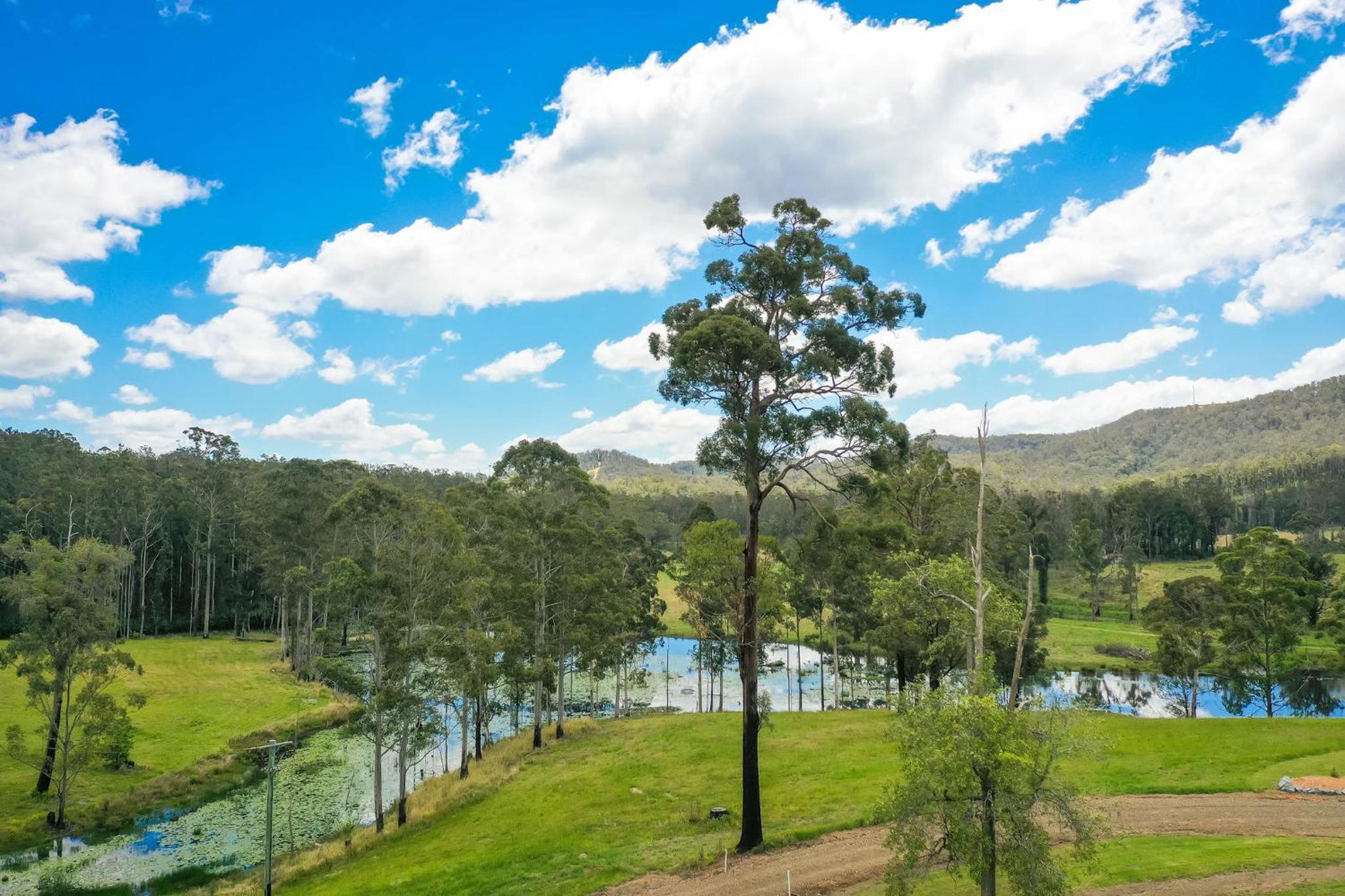 Clarendon Forest Retreat