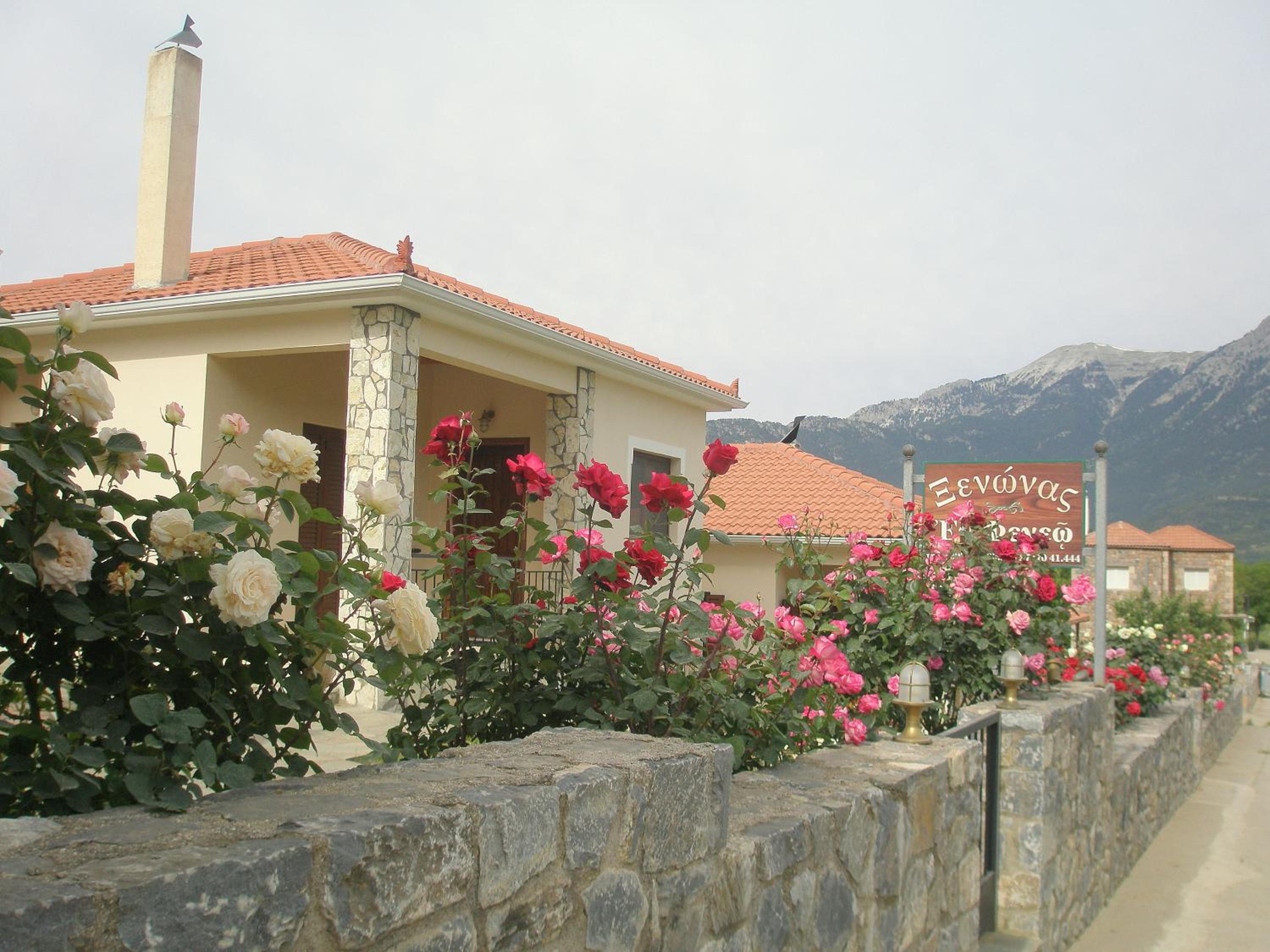 Photo 20