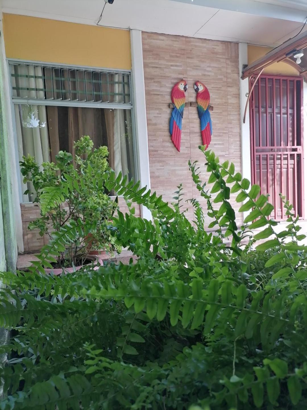 Villa Gabriela, Casa Tucan