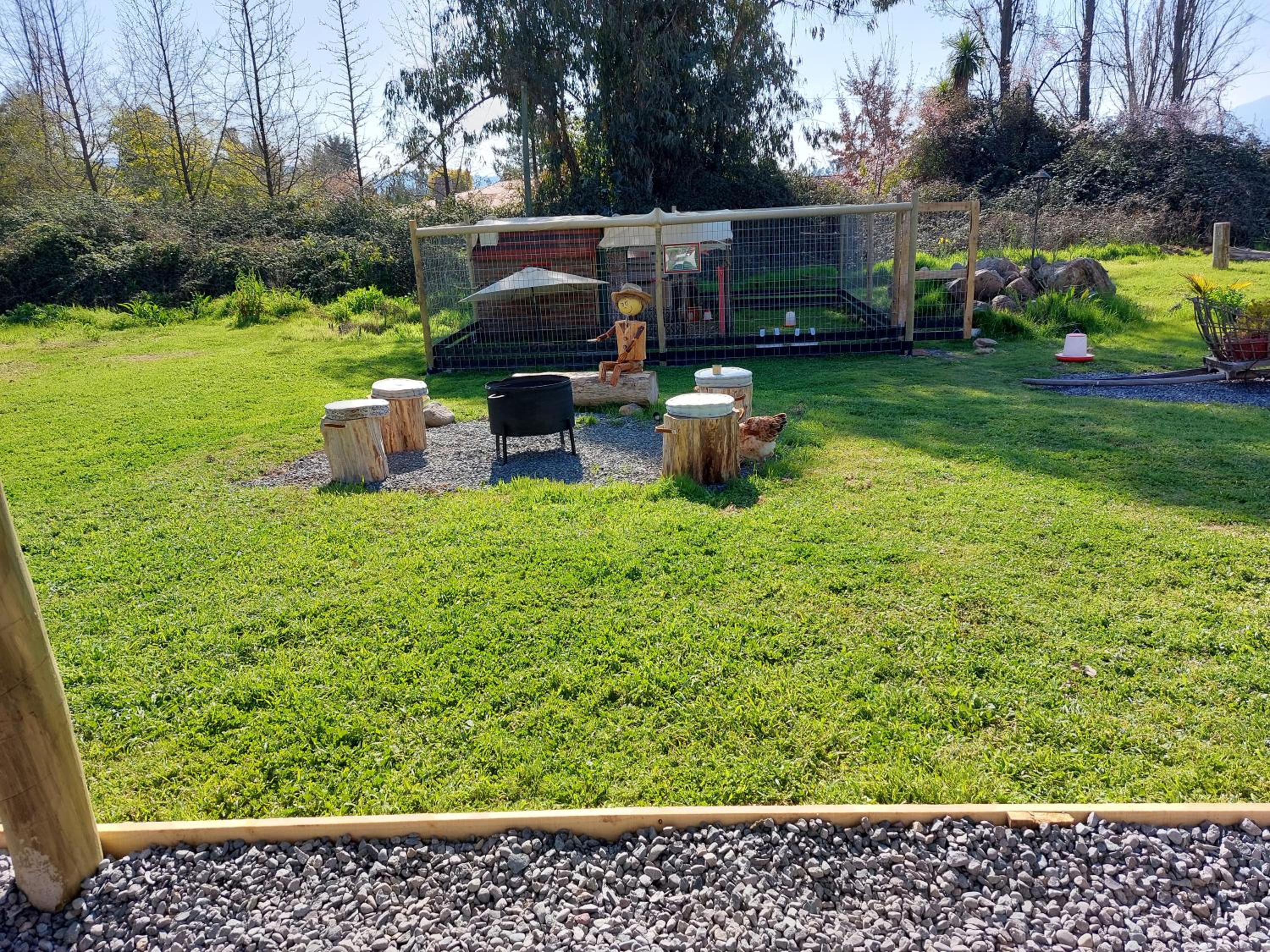 Photo 15