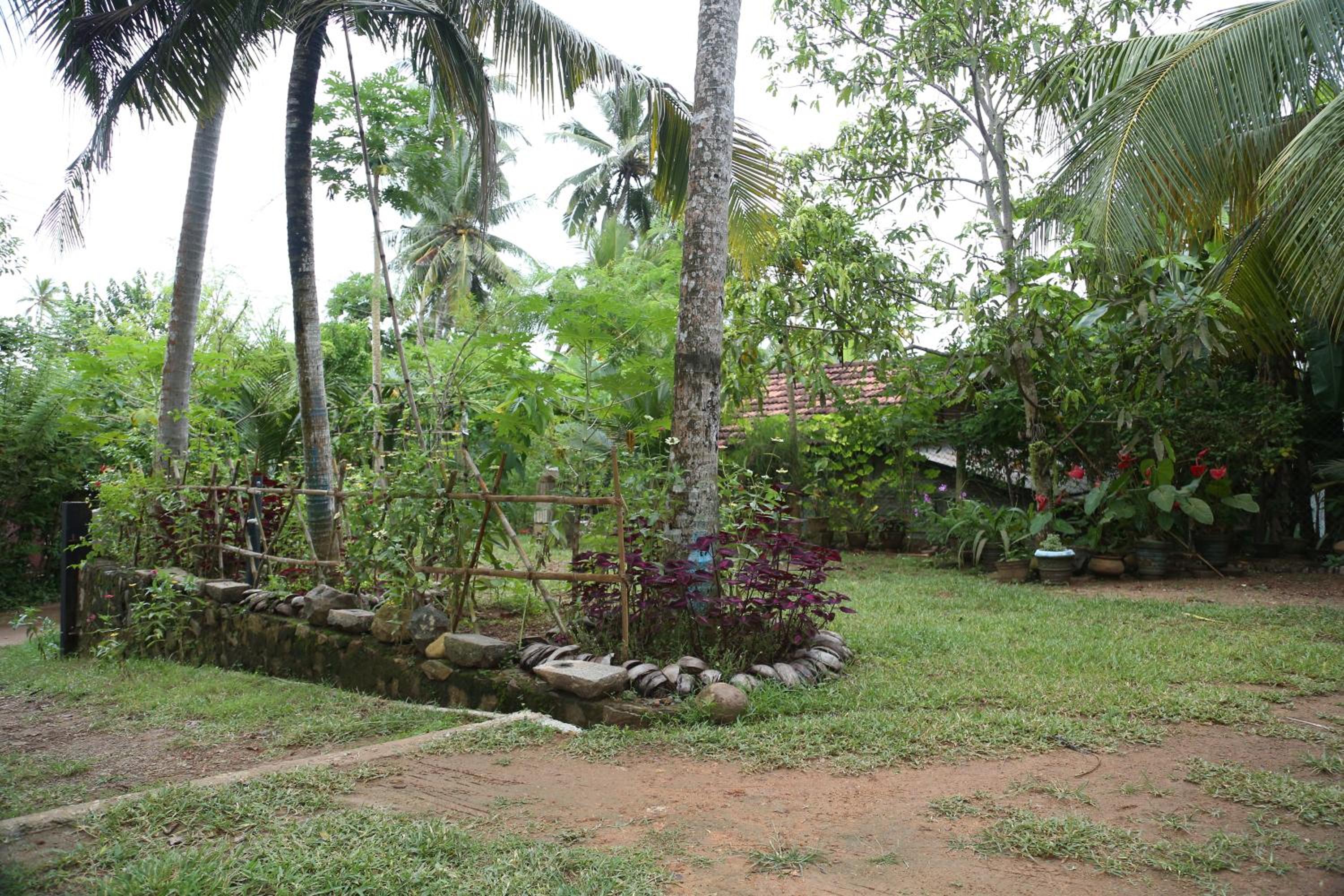 Photo 25