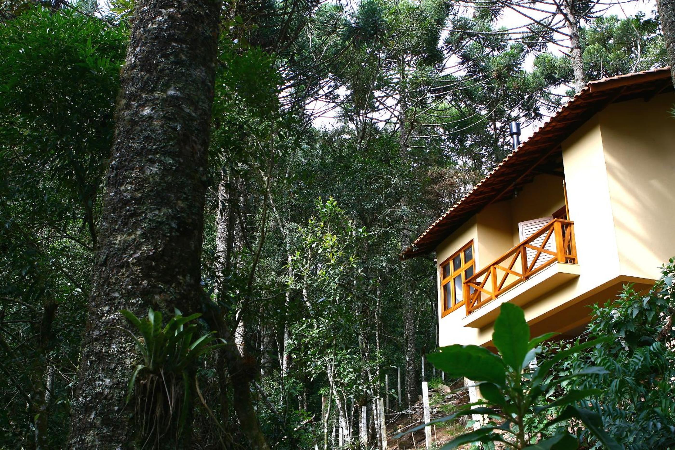 Pousada Chalé da Floresta