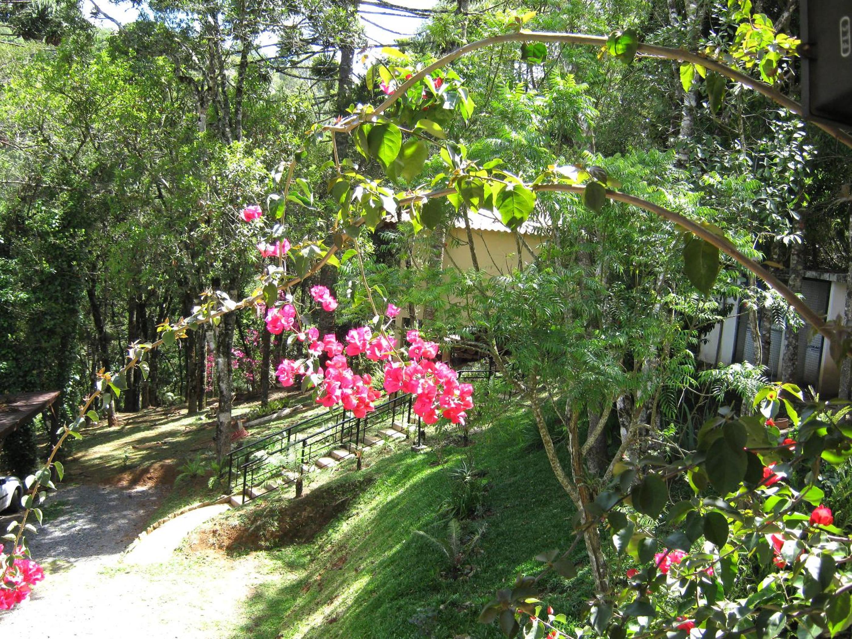 Pousada Chalé da Floresta