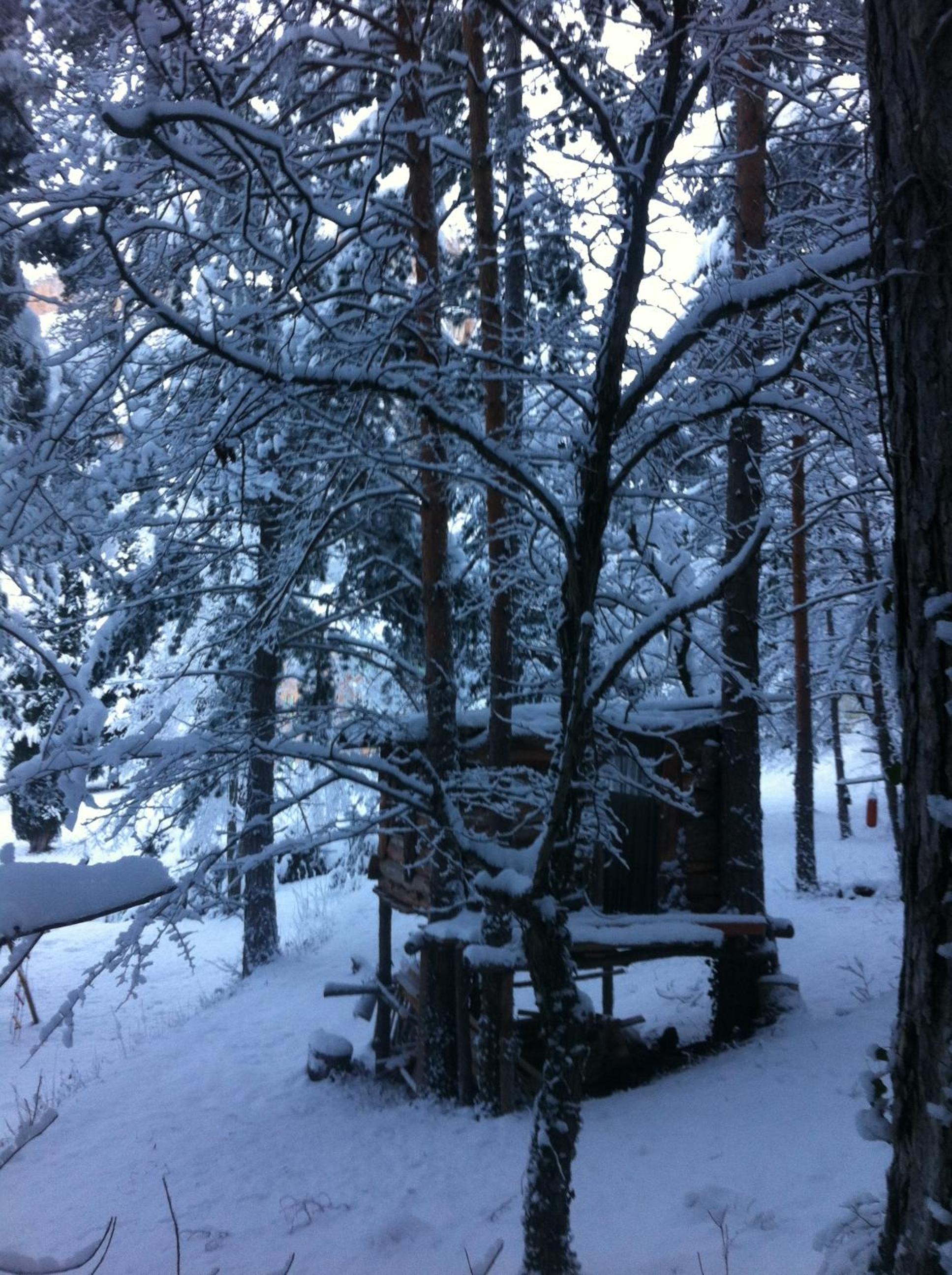 Photo 37