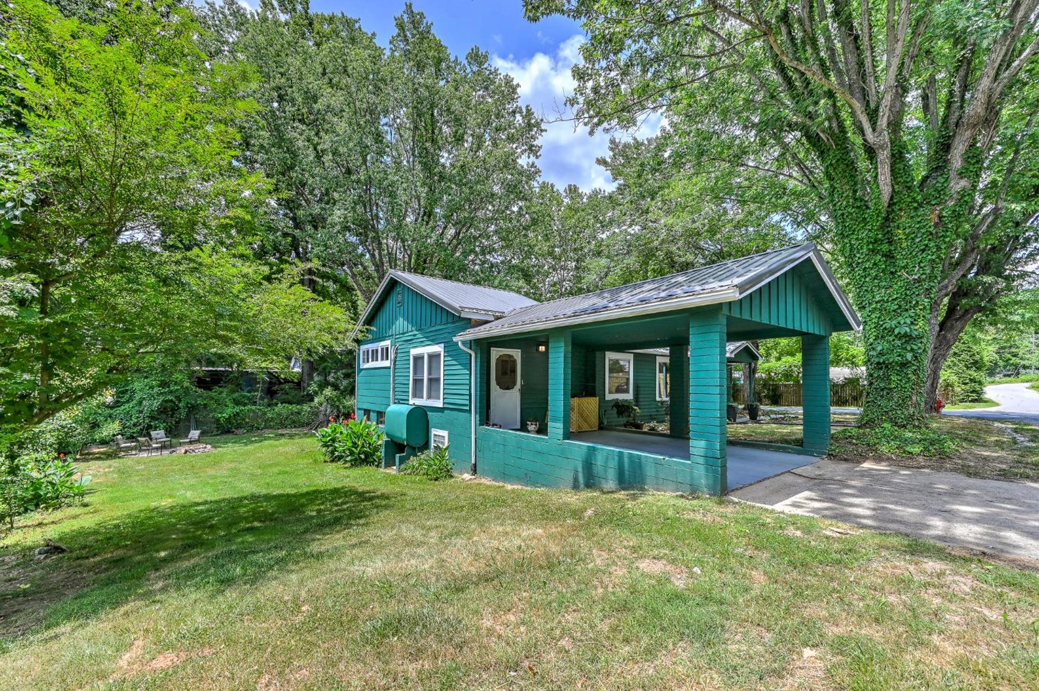 Cozy Love Nest 1BR - minutes to Downtown Asheville view 5